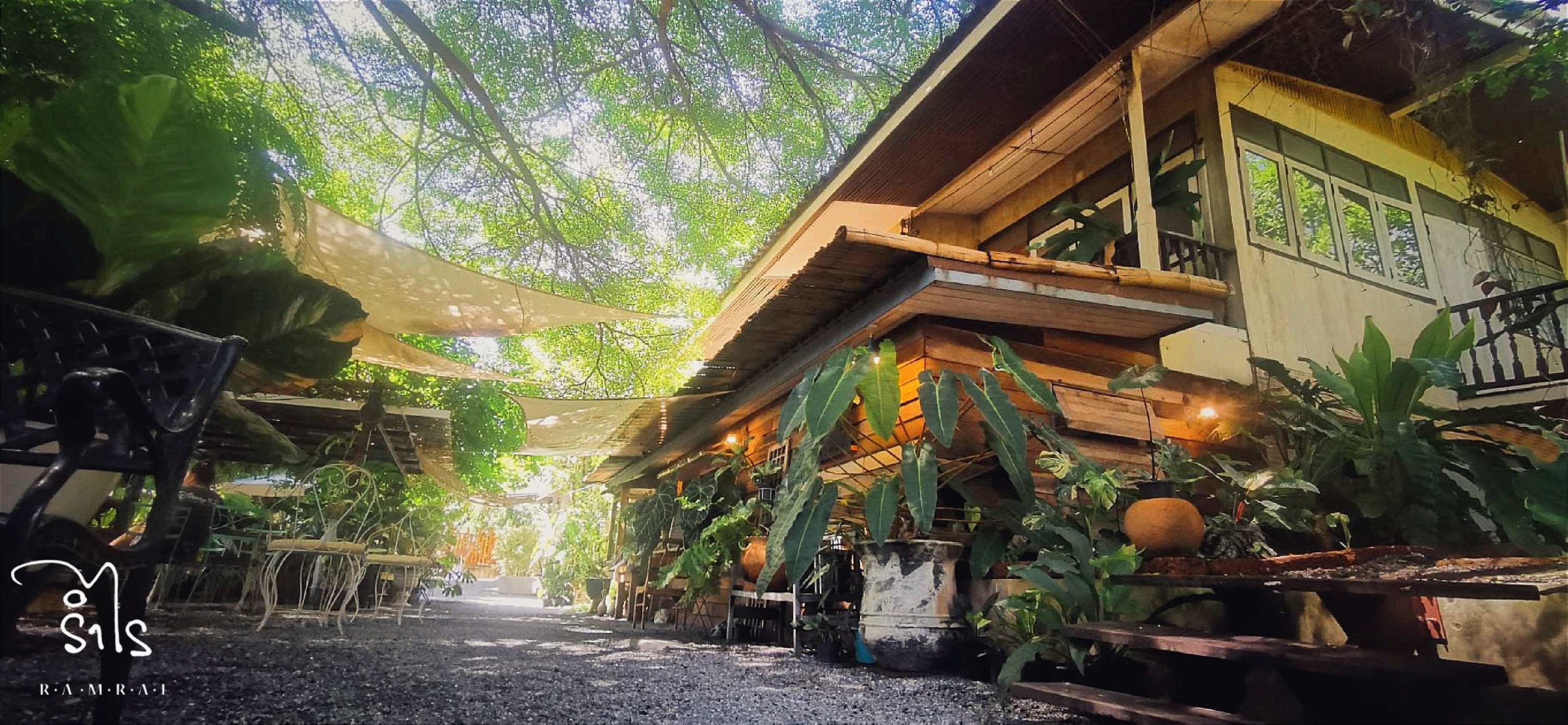 รำไร, ธรรมชาติโอชา, Rangnok Cafe&amp;Bar, บ้านท่าน้ำนนท์ Chaopraya antique Cafe, THE COUSIN, เพลิน Zaab Cafe, สายน้ำคาเฟ่ เกาะเกร็ด, สวนกู เดอะคาเฟ่, กาแฟบ้านเลขที่ ๑, 5522cafe, Rongsi Studio, คลองอ้อมคาเฟ่, คาเฟ่บ้านเฮีย