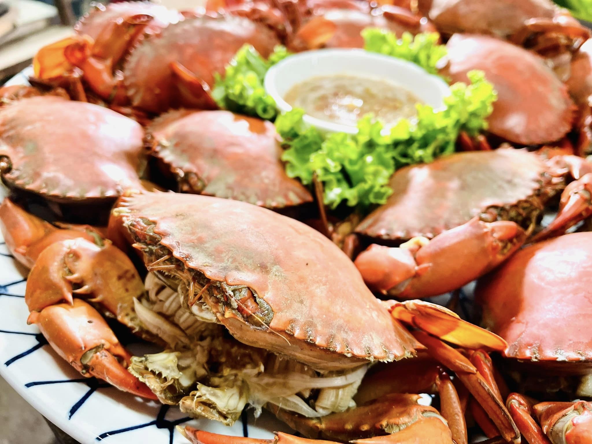 ท่าใคล ซีฟู๊ด, จ๊ะไหนซีฟู้ด, แลวิว, หาดยาวซีฟู๊ด, บ้านไร่ในฝัน, ปากเมงซีฟู้ด, ต้นปอ เฮ้าส์, พงษ์โอชา 2, บ้านสวน ณ ณิน, สีฟ้า ไลฟ์สไตล์ฟู้ด, โกช้อย