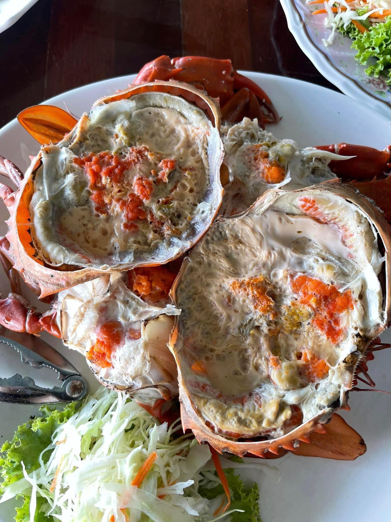 ท่าใคล ซีฟู๊ด, จ๊ะไหนซีฟู้ด, แลวิว, หาดยาวซีฟู๊ด, บ้านไร่ในฝัน, ปากเมงซีฟู้ด, ต้นปอ เฮ้าส์, พงษ์โอชา 2, บ้านสวน ณ ณิน, สีฟ้า ไลฟ์สไตล์ฟู้ด, โกช้อย