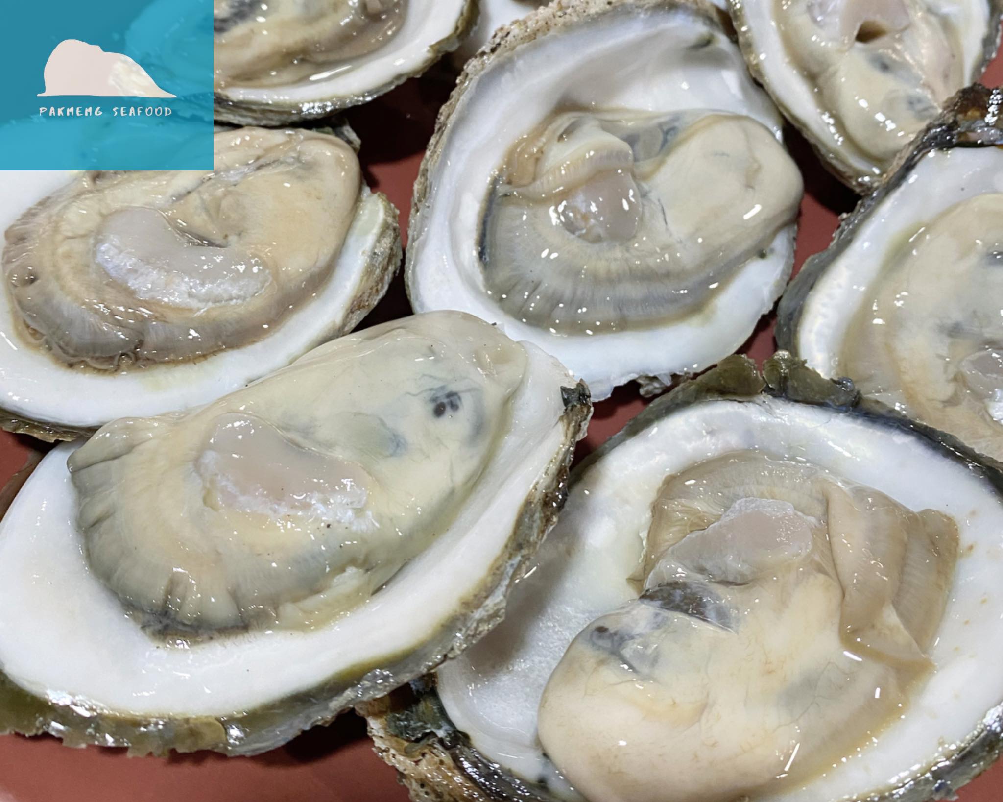 ท่าใคล ซีฟู๊ด, จ๊ะไหนซีฟู้ด, แลวิว, หาดยาวซีฟู๊ด, บ้านไร่ในฝัน, ปากเมงซีฟู้ด, ต้นปอ เฮ้าส์, พงษ์โอชา 2, บ้านสวน ณ ณิน, สีฟ้า ไลฟ์สไตล์ฟู้ด, โกช้อย