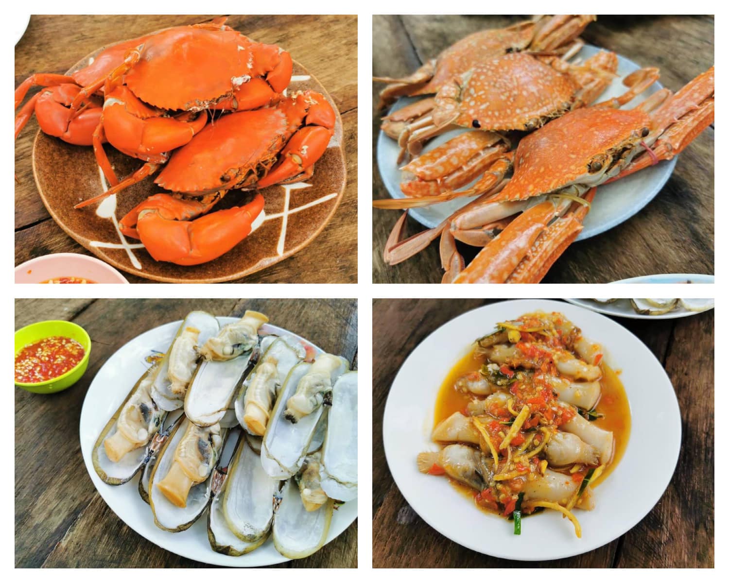 ท่าใคล ซีฟู๊ด, จ๊ะไหนซีฟู้ด, แลวิว, หาดยาวซีฟู๊ด, บ้านไร่ในฝัน, ปากเมงซีฟู้ด, ต้นปอ เฮ้าส์, พงษ์โอชา 2, บ้านสวน ณ ณิน, สีฟ้า ไลฟ์สไตล์ฟู้ด, โกช้อย