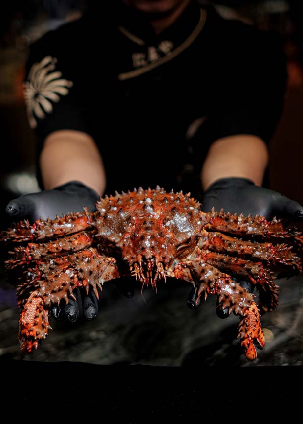 Jikasei B, NOWAKI BKK ノワキ, Sushi Yorokobu Bkk 鮨㐂, Ryuzu Omakase, Tamaya Omakase, Momiji Omakase, Mido Omakase