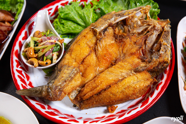 ครัวผักสด, Iconic Club Style, แก้วติ่มซำ, ตำ มึน มึน น., สวนอาหารริเวอร์ไซด์การเด้น, ยายปวด, ลุย, นิวแซ่บสุดซอย, ครัวตาอ้อซีฟู๊ด ชุมพร, ลุงเผล็นกุ้งหลวง, แม่ไม้ซีฟู้ด, ครัวสวนตาจี๊ด, ฟารีดาชาโรตี สาขาชุมพร, ก๋วยเตี๋ยวเนื้อนายดำ, ครัวทุ่งแพะ, บ้านพรรคพวก, ร้านอาหารตะเกียงไทยชุมพร, โกเหลียง, ครัวบ้านริมน้ำ ไร่ล่างซิตี้, พนังตักซีฟู๊ด คาเฟ่&amp;บาร์, ติ่มซำ หอเจี๊ยะ at ชุมพร, ครัวคุณจักษ์