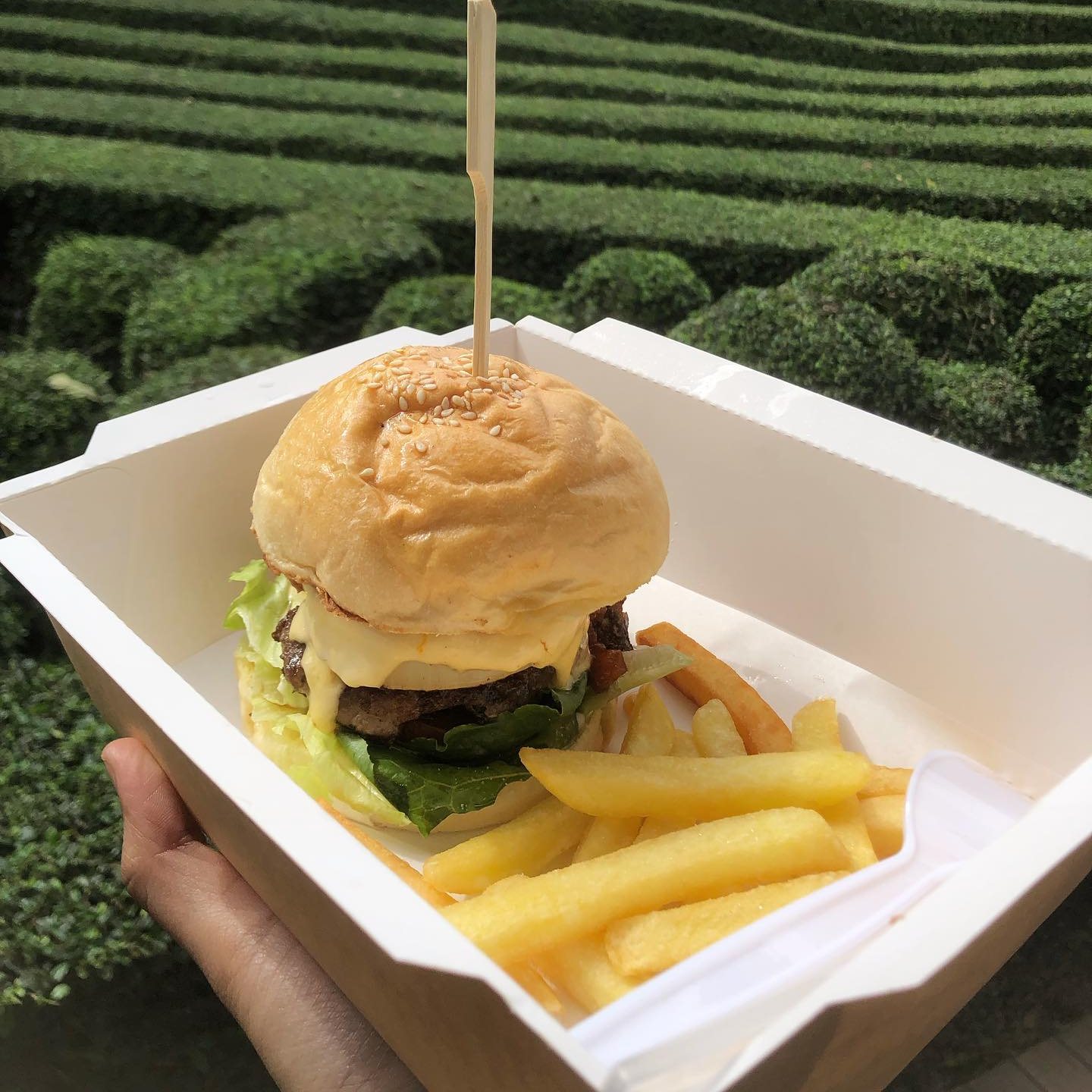 Bok Bok Society, 88Coffee in khaoyai, The Creek @Khao Yai, TARA CAFE' Khaoyai, Pirom Cafe