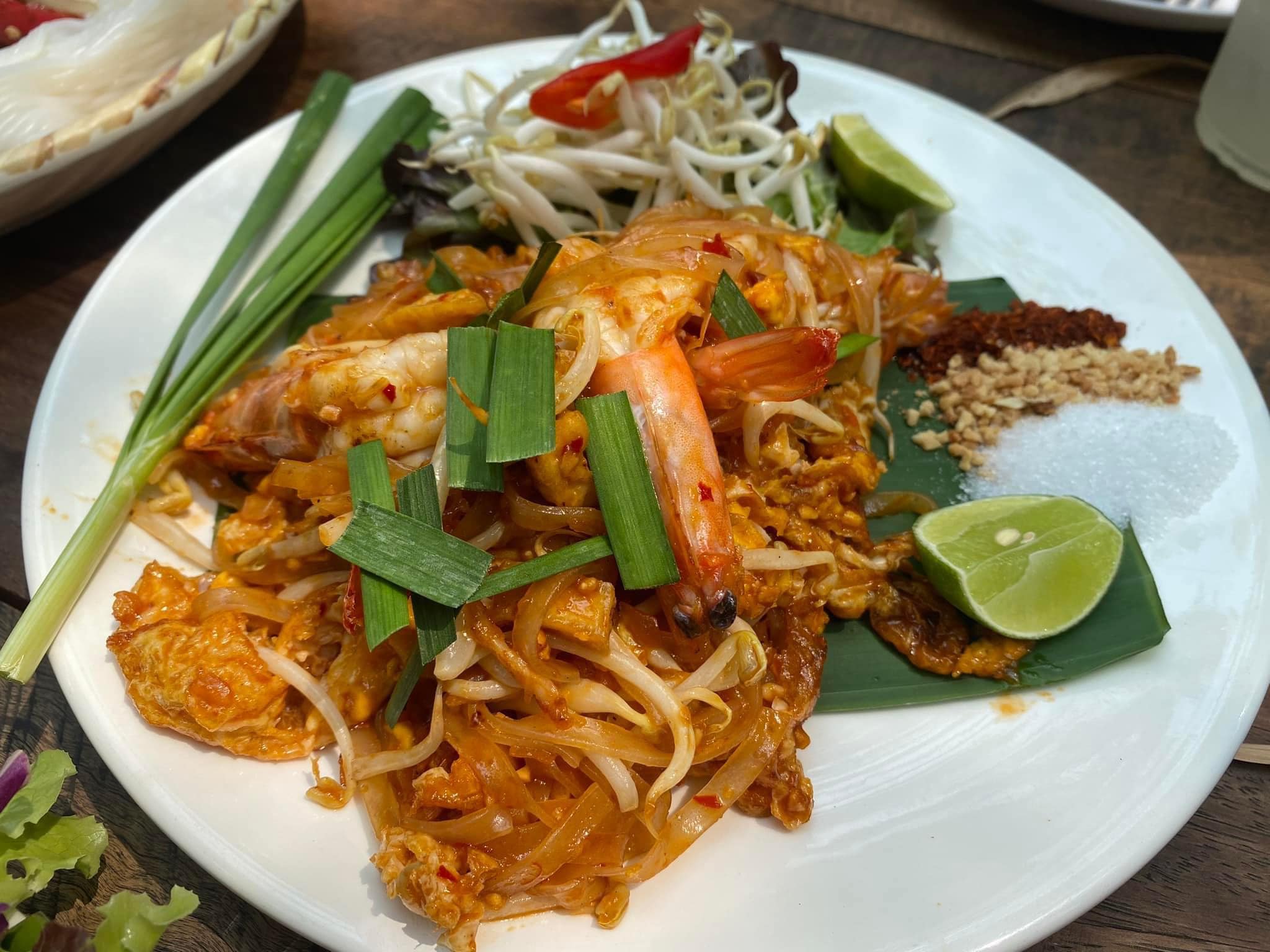 Bok Bok Society, 88Coffee in khaoyai, The Creek @Khao Yai, TARA CAFE' Khaoyai, Pirom Cafe