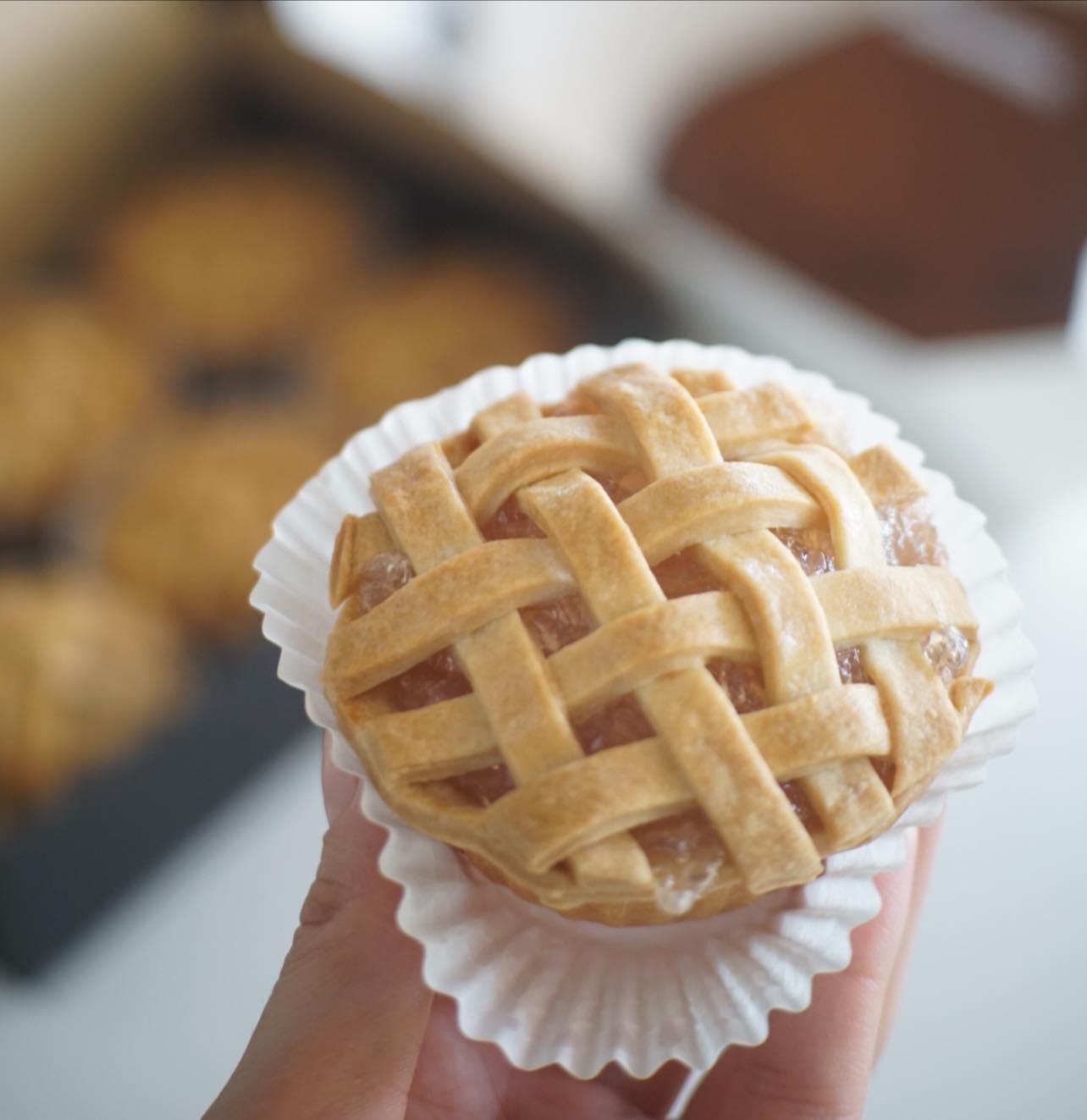 บ้านสวนลุงไข่, พี่เชษฐ์, Sawasdee-CuP Samui, ร้านอาหารข้าวหอม เกาะสมุย, ครัวชาวบ้าน, ท่าเรือสมุยซีฟู้ด, เสบียงเล, Mira Serene, โกเซ้ง เกาะสมุย, ครัวเสวยสมุย, The Roof Samui, มิสสมุย, Jam restaurant