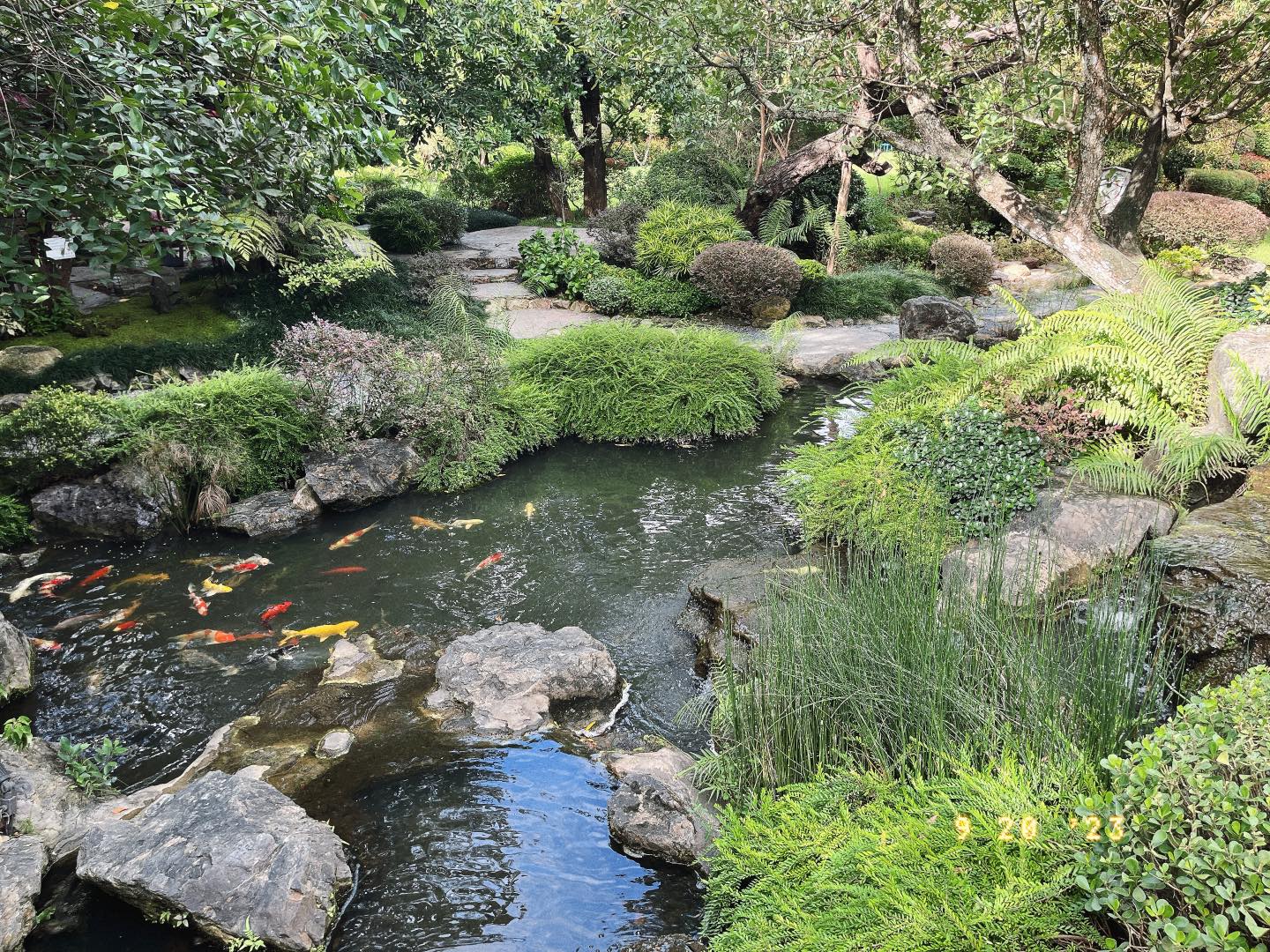 Matchappen, DWBH CAFE, Minna Matcha, Magokoro Teahouse, Nekoemon Cafe Chiang Mai