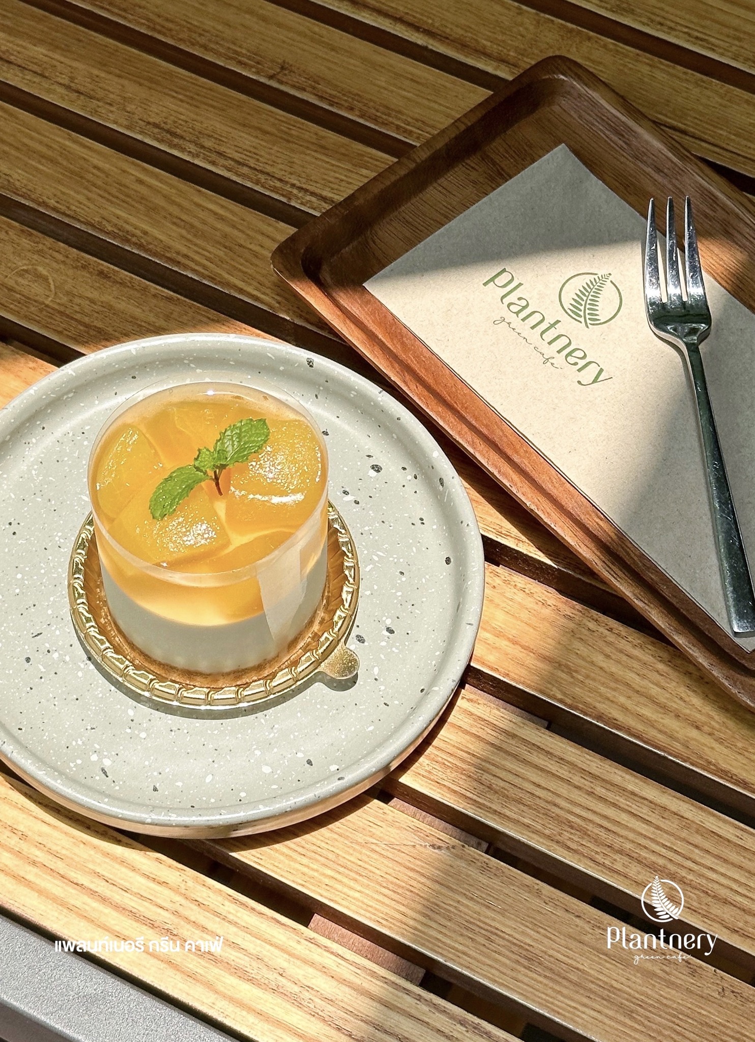 Hansacafe.food.garden, Green House Bistro, BECX, Plantnery Green Café, Langbaan cafe&amp;chill, ฉลู คาเฟ่, Mom’s Veggie Cafe, Another Home Cafe, Me Long Cafe, ร.เรือตัวอ้วน, Slot Co-Working Space, Mitte Coffee, Mita Coffee and Art, Bluebell Café, 10cc Coffee