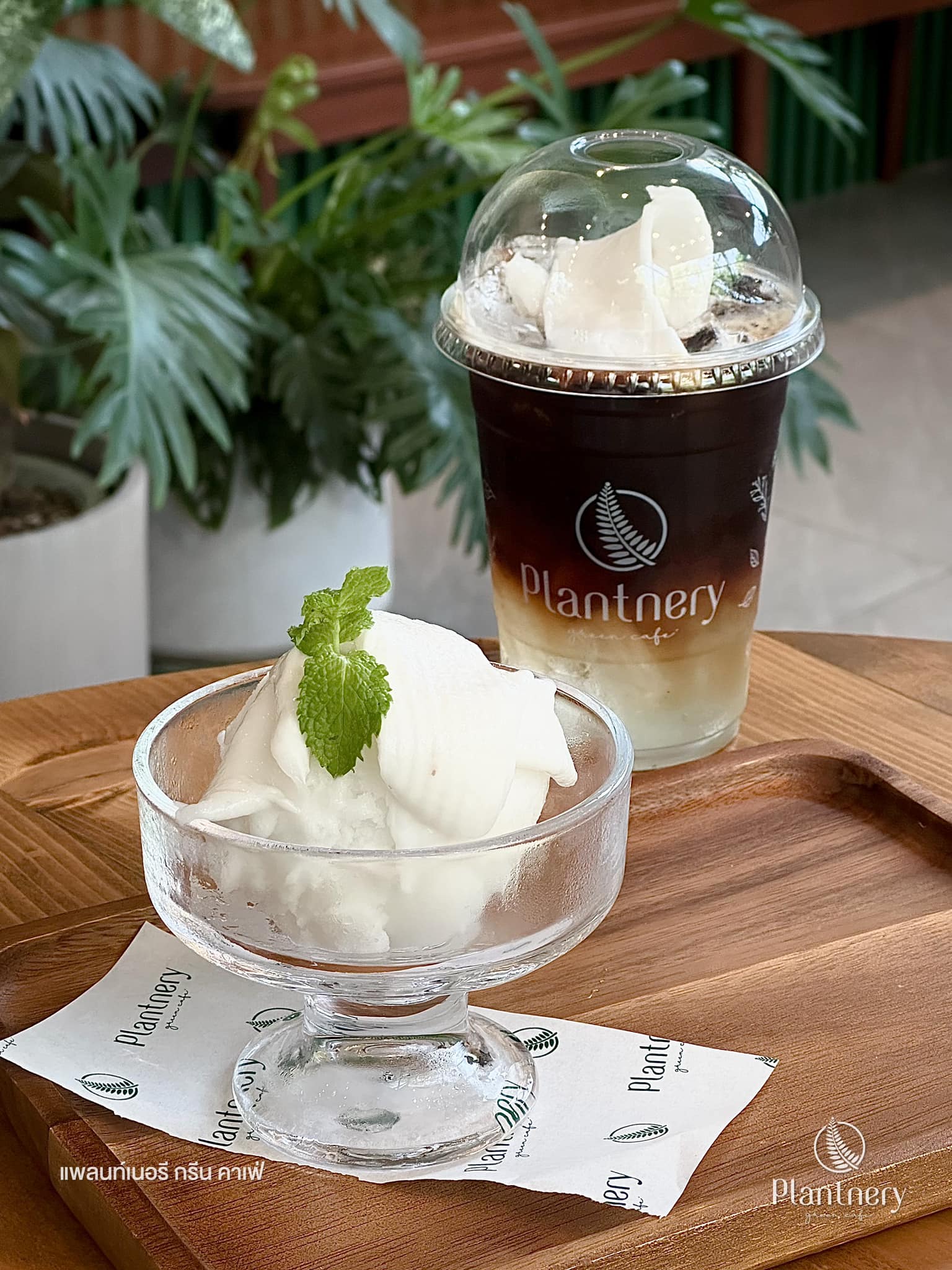 Hansacafe.food.garden, Green House Bistro, BECX, Plantnery Green Café, Langbaan cafe&amp;chill, ฉลู คาเฟ่, Mom’s Veggie Cafe, Another Home Cafe, Me Long Cafe, ร.เรือตัวอ้วน, Slot Co-Working Space, Mitte Coffee, Mita Coffee and Art, Bluebell Café, 10cc Coffee