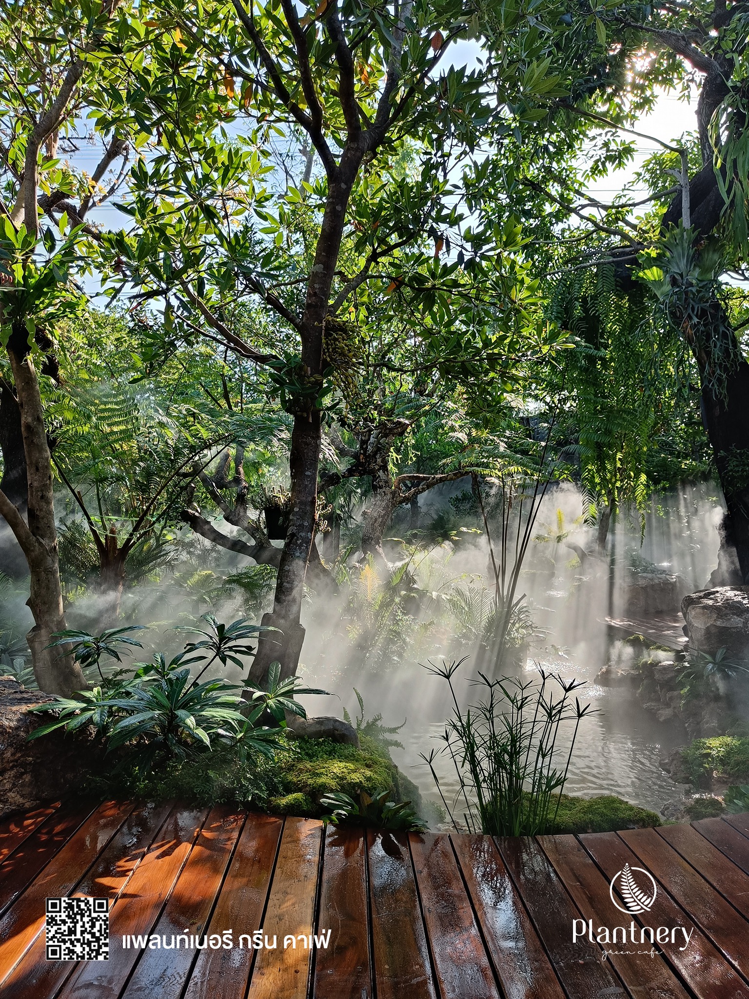 Hansacafe.food.garden, Green House Bistro, BECX, Plantnery Green Café, Langbaan cafe&amp;chill, ฉลู คาเฟ่, Mom’s Veggie Cafe, Another Home Cafe, Me Long Cafe, ร.เรือตัวอ้วน, Slot Co-Working Space, Mitte Coffee, Mita Coffee and Art, Bluebell Café, 10cc Coffee