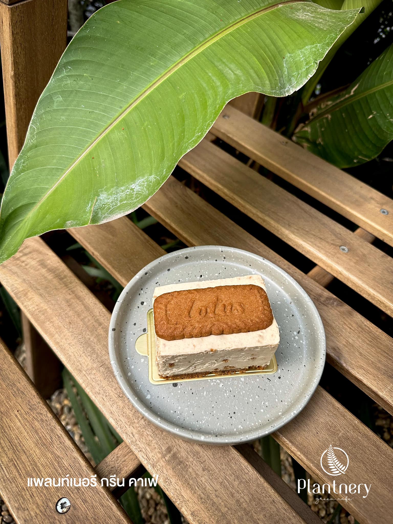 Hansacafe.food.garden, Green House Bistro, BECX, Plantnery Green Café, Langbaan cafe&amp;chill, ฉลู คาเฟ่, Mom’s Veggie Cafe, Another Home Cafe, Me Long Cafe, ร.เรือตัวอ้วน, Slot Co-Working Space, Mitte Coffee, Mita Coffee and Art, Bluebell Café, 10cc Coffee