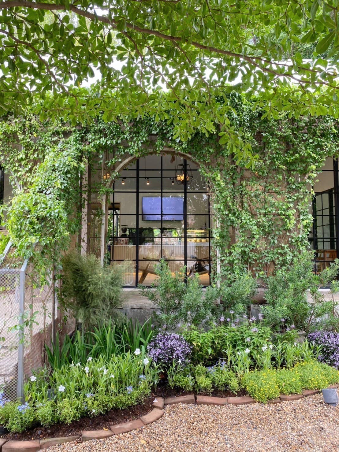 Hansacafe.food.garden, Green House Bistro, BECX, Plantnery Green Café, Langbaan cafe&amp;chill, ฉลู คาเฟ่, Mom’s Veggie Cafe, Another Home Cafe, Me Long Cafe, ร.เรือตัวอ้วน, Slot Co-Working Space, Mitte Coffee, Mita Coffee and Art, Bluebell Café, 10cc Coffee