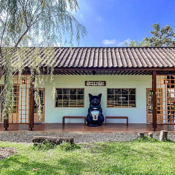 อะนะตะการ์เดนชิล, ดาวคะนองลำพูน, เฮียจั๊ว เกาเหลาเลือดหมู, ข้าวซอยบ้านยอง, ขนมเส้นหม้อดิน, Lap-Lungnil Fanpage-ร้านลาบลุงนิล ลำพูน, ร้านอาหาร ม่วนใจ๋ปลาจุ่ม ลำพูน, ก๋วยเตี๋ยวหมูตุ๋นลำไย, ก๋วยเตี๋ยวคุณแดง, เตี๋ยวสุขใจ “อัพเกรด”, My Vietnam Lamphun - มายเวียดนามลำพูน, NA TEA TIME, Chef's house