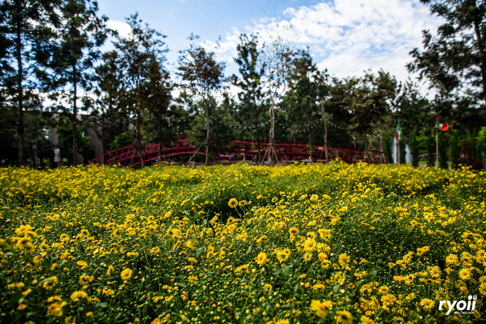 สเต๊ก 2 แคว เขาใหญ่, Vano's Steak, Bigger' Burger &amp; Steak, VinCotto, Studer Restaurant, Sireena Italian Restaurant, เชฟ สมพงษ์ ปากช่อง, ROMA Khaoyai, บ้านแม่สเต็กตัวพ่อ, Steak in Khaoyai, Prime 19