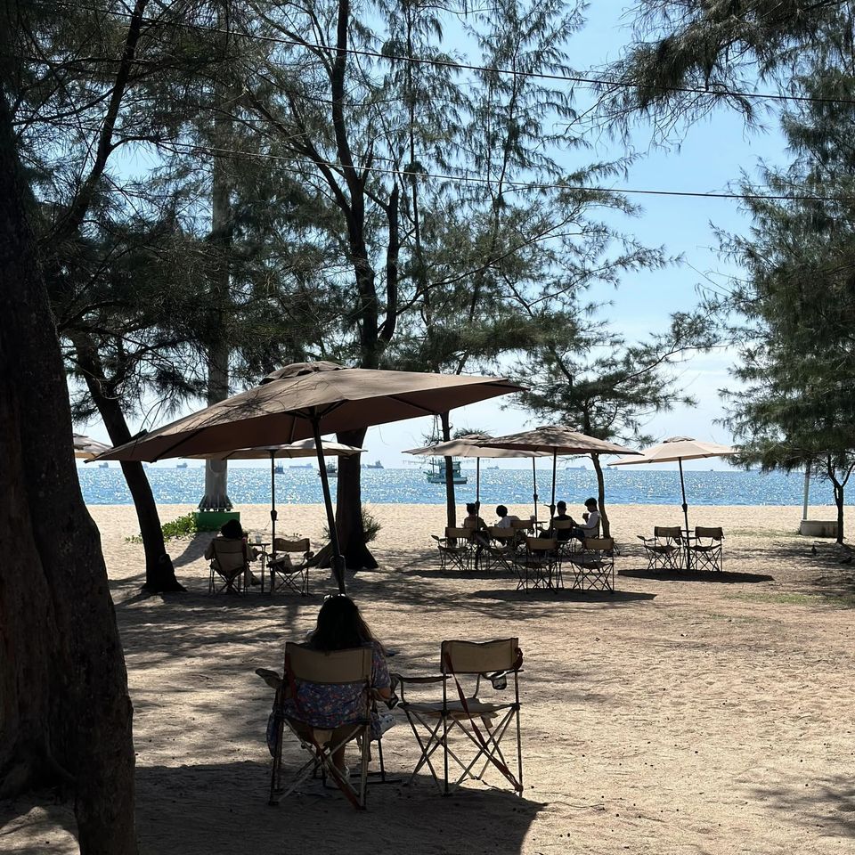 CURVE, STIRR Coffee, Haus Coffee and Space, SeaSeoul cafe, 1degreesnorth, Kongkang Kafe, กาเเฟริมน้ำ บ้านชูใจ, สวนก๋ง, กาแฟบ้านทวด, COFFEE BEACH, Jump at Sea, Whitebeam coffee &amp; eatery