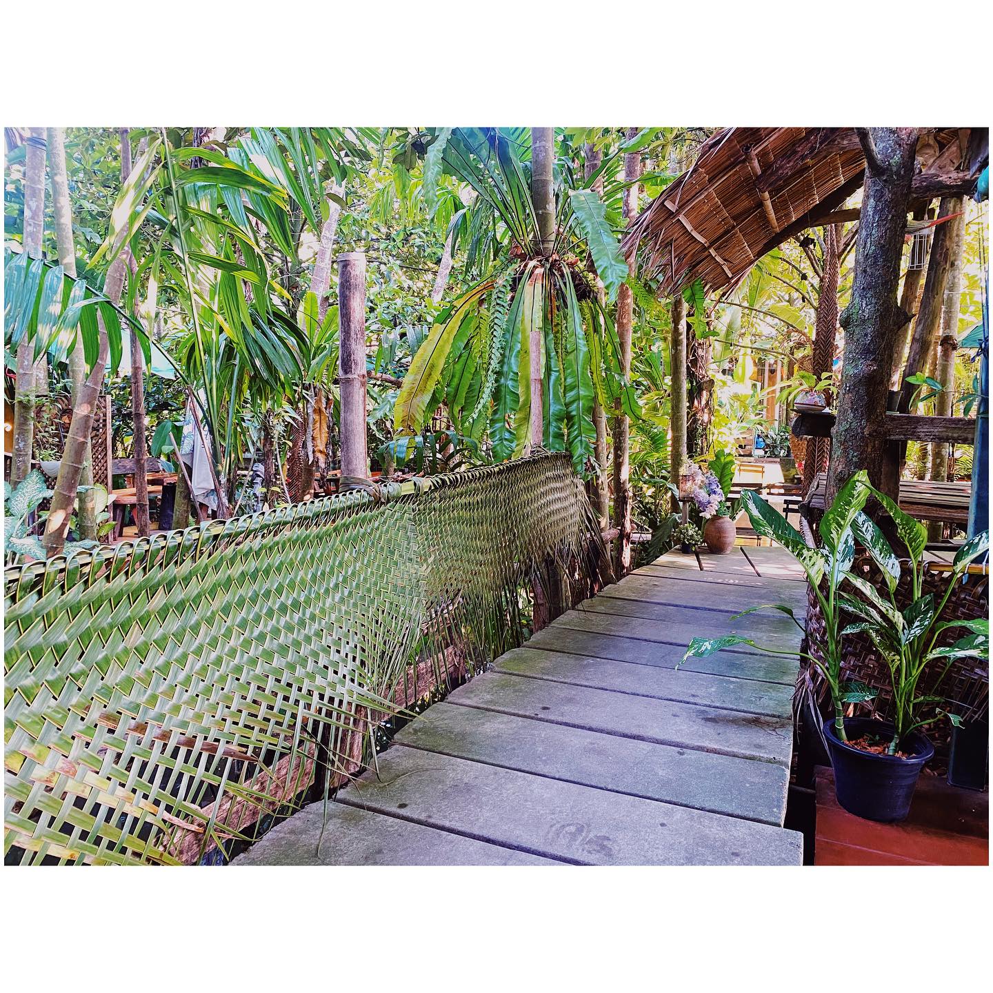 CURVE, STIRR Coffee, Haus Coffee and Space, SeaSeoul cafe, 1degreesnorth, Kongkang Kafe, กาเเฟริมน้ำ บ้านชูใจ, สวนก๋ง, กาแฟบ้านทวด, COFFEE BEACH, Jump at Sea, Whitebeam coffee &amp; eatery