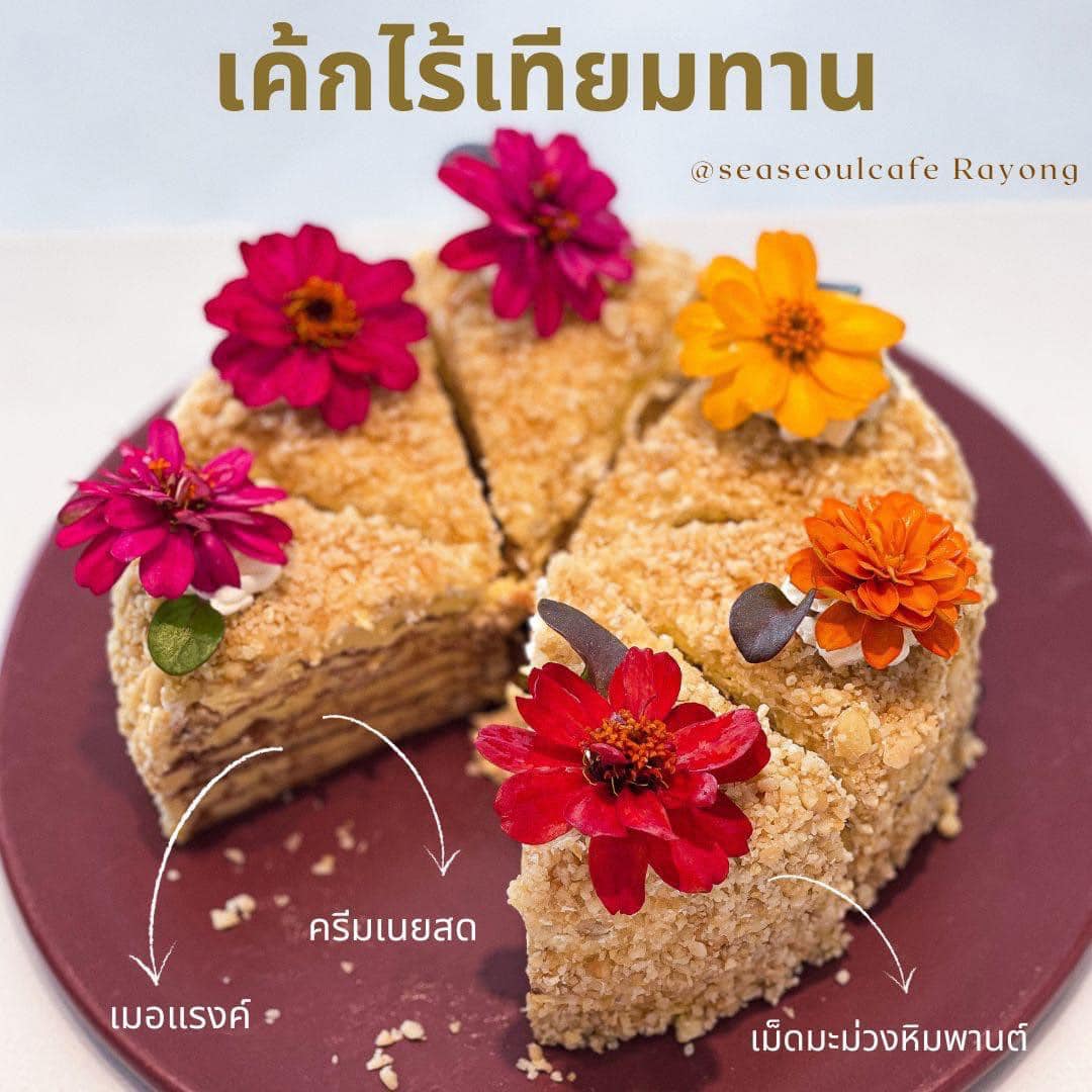 CURVE, STIRR Coffee, Haus Coffee and Space, SeaSeoul cafe, 1degreesnorth, Kongkang Kafe, กาเเฟริมน้ำ บ้านชูใจ, สวนก๋ง, กาแฟบ้านทวด, COFFEE BEACH, Jump at Sea, Whitebeam coffee &amp; eatery