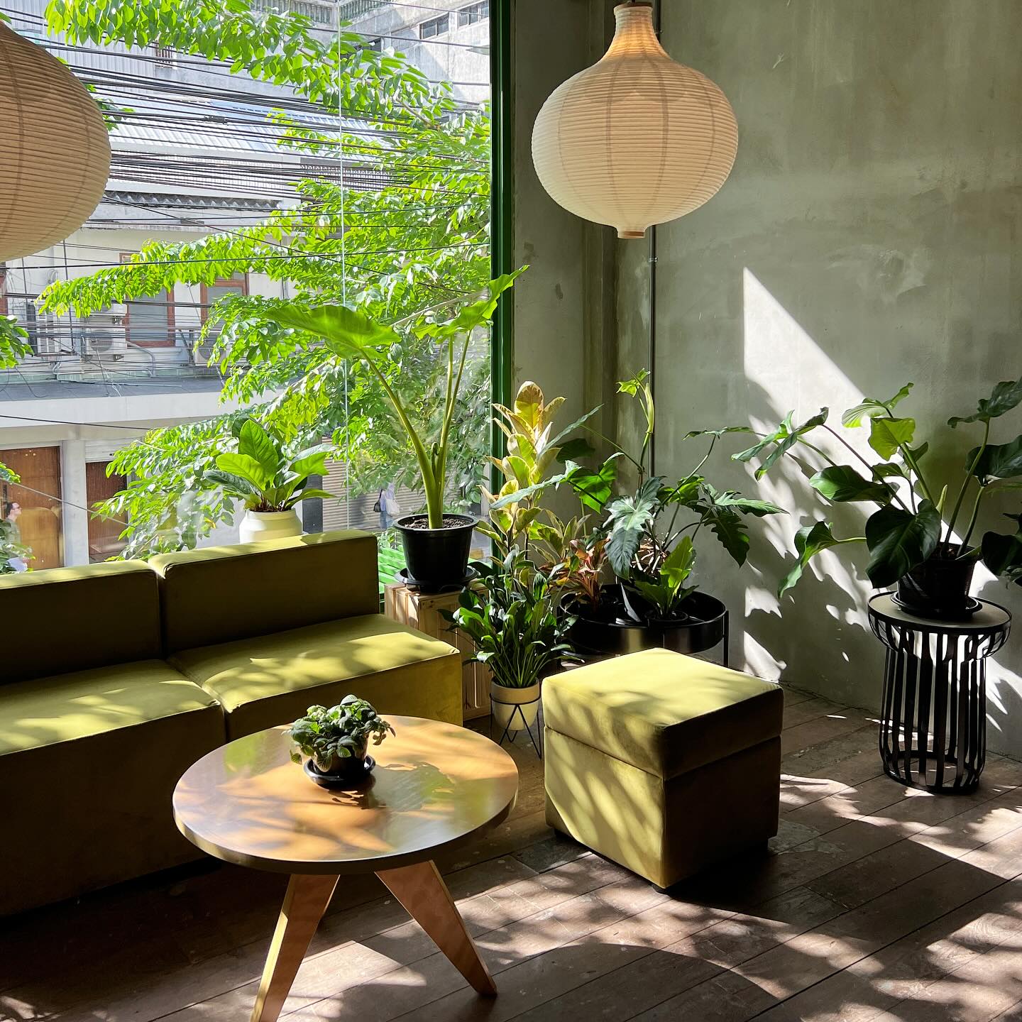 ประจักษ์, REN Cafe and Goods, Tostato Charoen Krung, ตั้งใจย่าง, Sarnies Bangkok, HĒIJīi Bangkok, เล่าสี่ เกาเหลาเลือดหมู, Henryfry, ทับทิมกรอบ หน้าวัดสุทธิ, ลูกชิ้นปลาเจ้าหลง, Baan Phadthai, เชอร์รี่ เย็นตาโฟ, ร้านเหรียญทอง เจริญกรุง 23, ก๋วยเตี๋ยวหลอดเจ๊ใหญ่, ฮ้งลูกชิ้นปลาเยาวราช