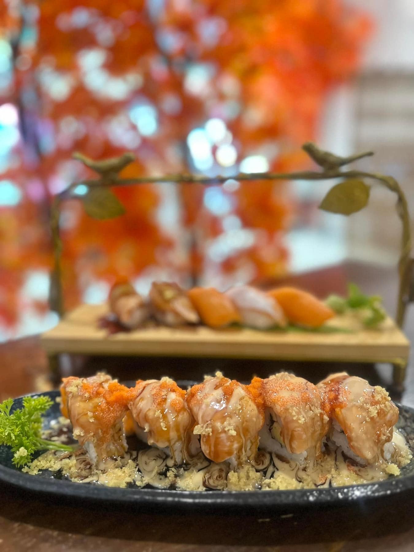 Salmon Cat, Yume plus sushi, ซูชิคุมะ ShuShi Kuma, จ่ามอส แซลม่อน ซีฟู๊ด, กินดิบ