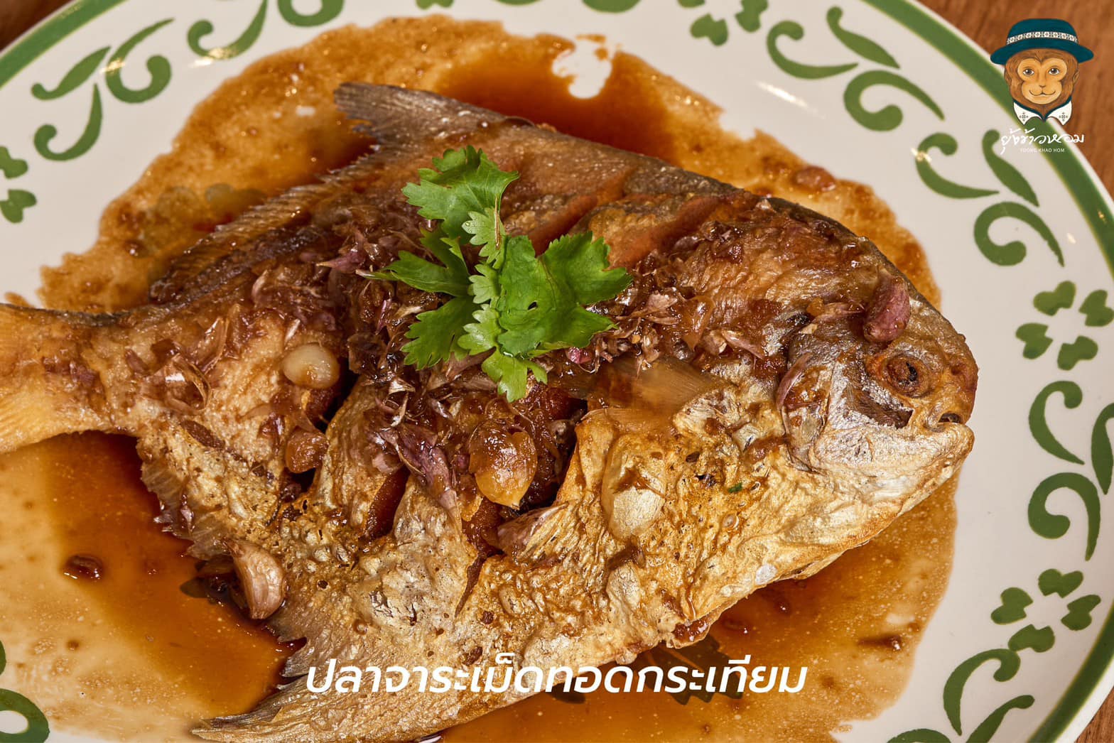 ครัวจำแลง แปลงกาย, ยุ้งข้าวหอม, ขมิ้น Camin Cuisine &amp; Cafe, สาขาอารีย์, ละมุนลิ้น โฮม คิทเช่น, ภูเก็จ, Bistro Palette, Aim.Bangkok, บ้านสะใภ้ใต้, ครัวข้าวหอม แกงปักษ์ใต้, บ้านไอซ์, Paknang.bkk, คุ้น•เคย Eatery, Cafe &amp; Bar, ครัวรสนคร, ครัวคุณอิ้น, สาขาเลียบทางด่วนรามอินทรา, ครัวปากพนัง (อาหารปักษ์ใต้), ปรายระย้า, เรือนแม่หลุย, มัลลิกา ชุมพร อาหารปักษ์ใต้