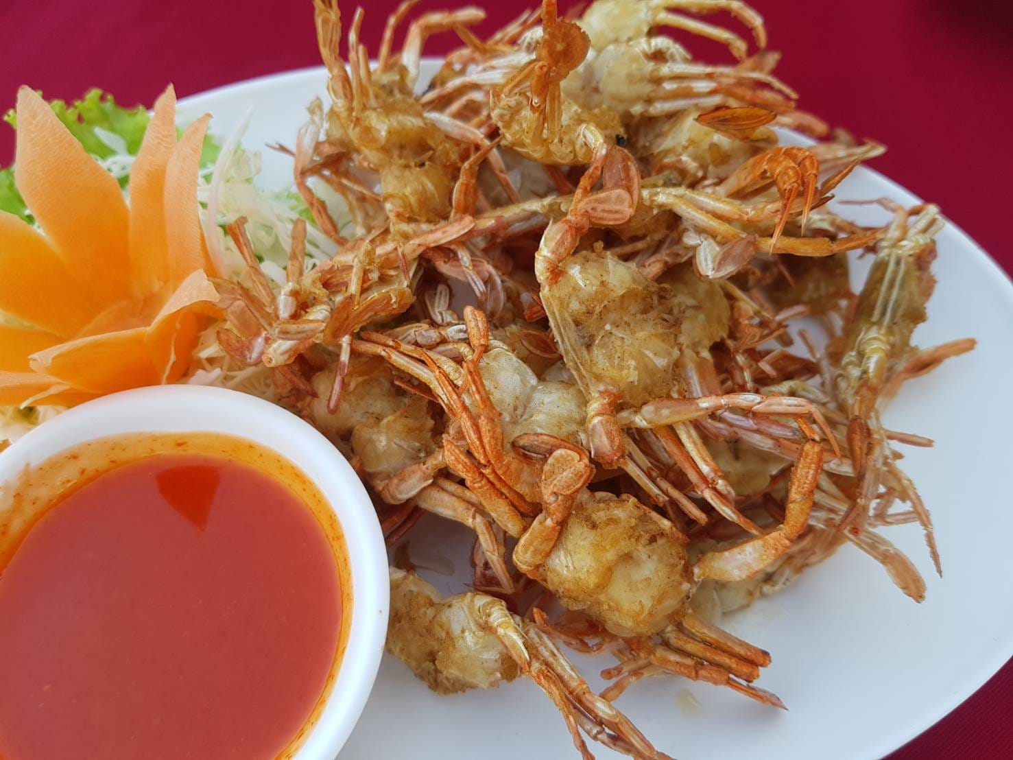 9 Salads ร้านอาหารนายน์สลัด, Kojiro Japanese Cuisine, ตามใจปรารถนา - As You Wish, Mychef Box, Suzuran sushi, บ้านสวย ในสวน, ครัวไผ่เขียว, สวนอาหารริมน้ำอนุสรา เลควิว 18, จุ่มดาดโพนยางคำ, สาขารามอินทรา 40, Blacksugar CAFE BKK, ร้าน นาย ต.เนื้อตุ๋น-วัชรพล, @19Food&amp;Farm, ซินจ่าวอาหารเวียดนาม, Chocolate Ville, Sushi Ken Ken, ครัว แสงดาวเสือ, บึงนวมินทร์, Stitch &amp; Hammer Cafe, Hiro Keki Thailand