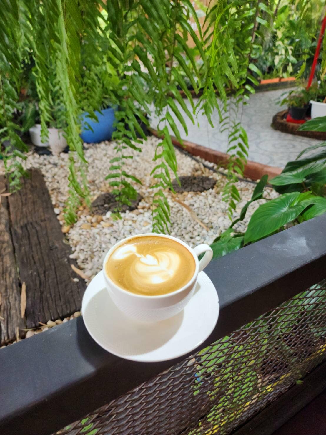 อุ่นใจริเวอร์ไซด์, สมพงศ์ ซีฟู๊ด, แป๊ะเก๊า โภชนา, ครัวบ้านเปิ้ล, ครัวปีกไม้, PLAY FARM Restaurant, เปียอู๋ โภชนา, ส้มตำดนตรี, สาขาเทพารักษ์, นายหมาทะเลมีชีวิต ตำหรุ, ครัวบุญเลิศ บางปู