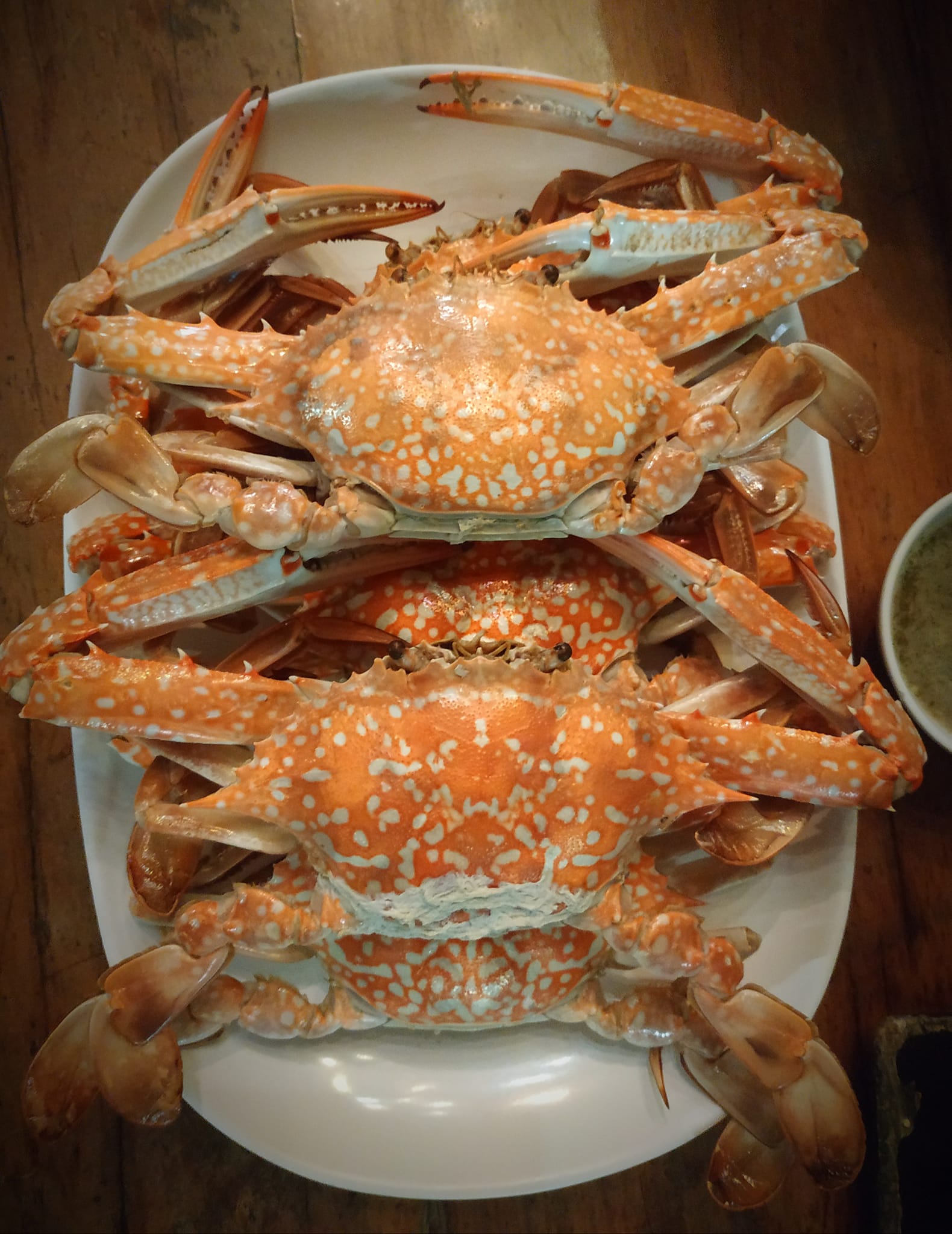 อุ่นใจริเวอร์ไซด์, สมพงศ์ ซีฟู๊ด, แป๊ะเก๊า โภชนา, ครัวบ้านเปิ้ล, ครัวปีกไม้, PLAY FARM Restaurant, เปียอู๋ โภชนา, ส้มตำดนตรี, สาขาเทพารักษ์, นายหมาทะเลมีชีวิต ตำหรุ, ครัวบุญเลิศ บางปู