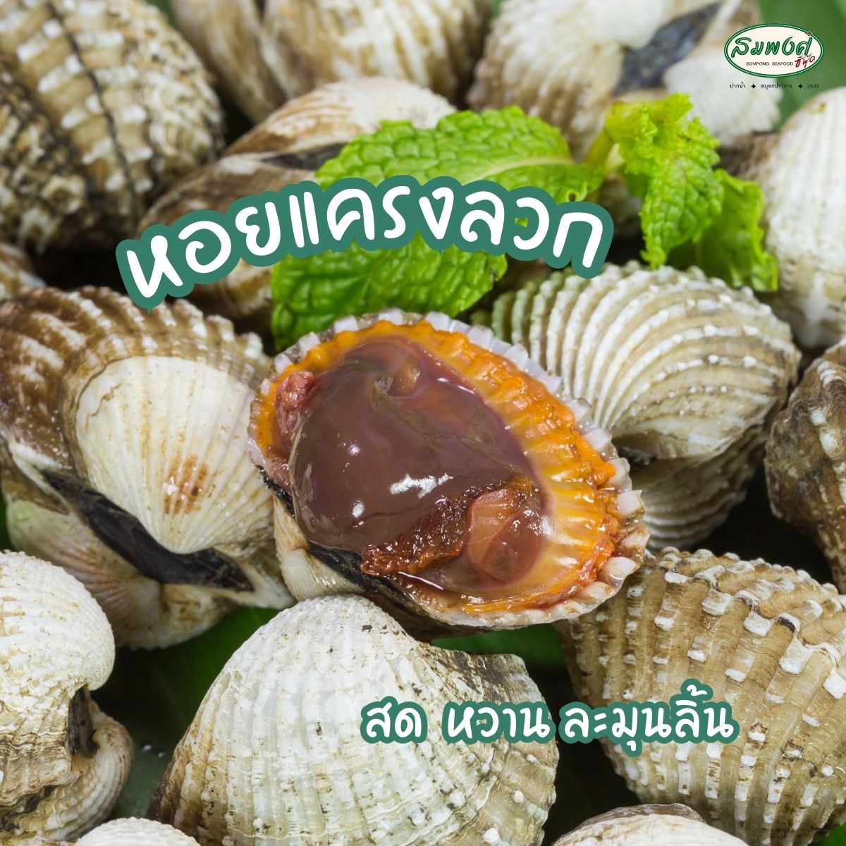 อุ่นใจริเวอร์ไซด์, สมพงศ์ ซีฟู๊ด, แป๊ะเก๊า โภชนา, ครัวบ้านเปิ้ล, ครัวปีกไม้, PLAY FARM Restaurant, เปียอู๋ โภชนา, ส้มตำดนตรี, สาขาเทพารักษ์, นายหมาทะเลมีชีวิต ตำหรุ, ครัวบุญเลิศ บางปู