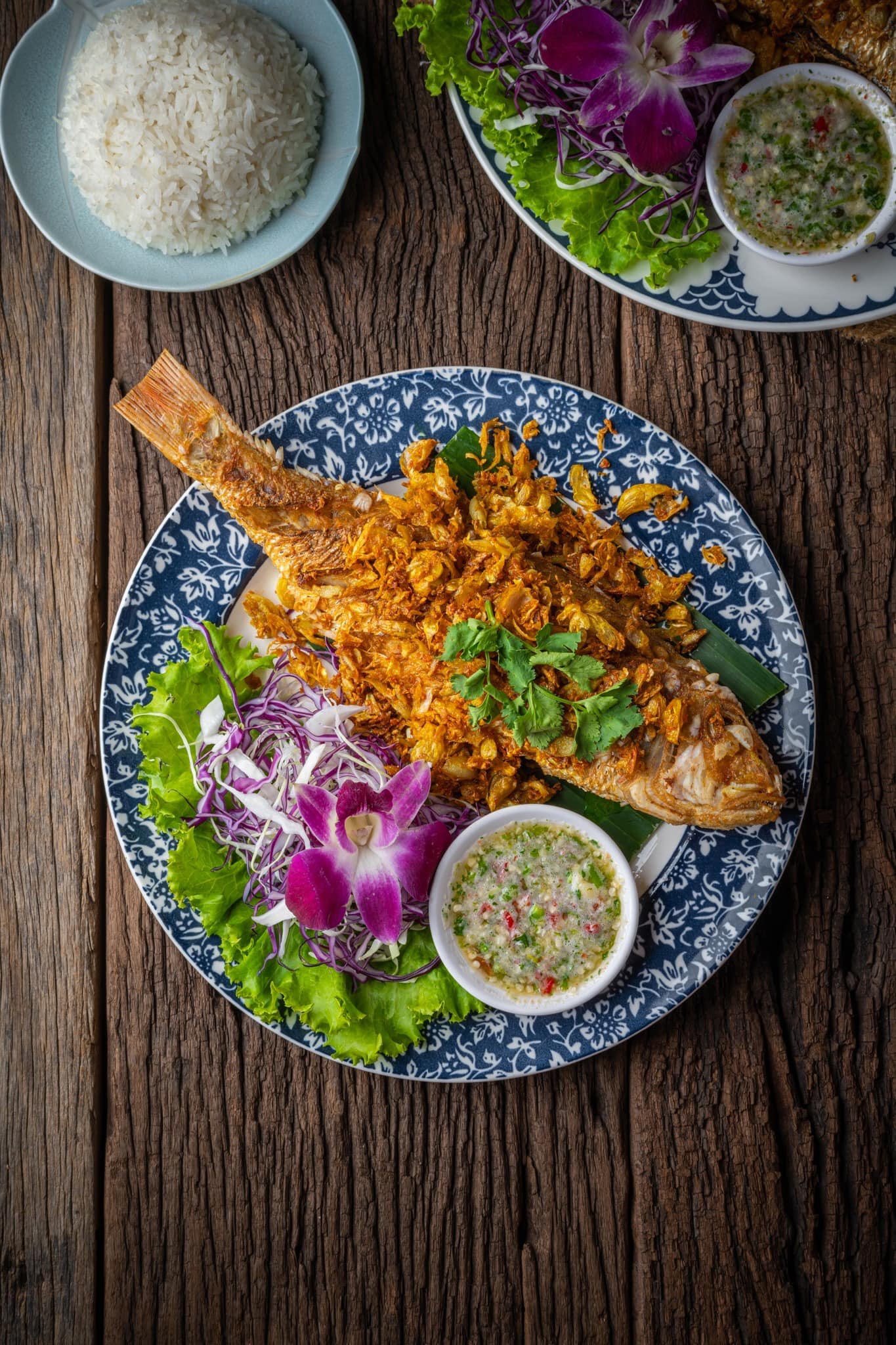 ครัวจำแลง แปลงกาย, ยุ้งข้าวหอม, ขมิ้น Camin Cuisine &amp; Cafe, สาขาอารีย์, ละมุนลิ้น โฮม คิทเช่น, ภูเก็จ, Bistro Palette, Aim.Bangkok, บ้านสะใภ้ใต้, ครัวข้าวหอม แกงปักษ์ใต้, บ้านไอซ์, Paknang.bkk, คุ้น•เคย Eatery, Cafe &amp; Bar, ครัวรสนคร, ครัวคุณอิ้น, สาขาเลียบทางด่วนรามอินทรา, ครัวปากพนัง (อาหารปักษ์ใต้), ปรายระย้า, เรือนแม่หลุย, มัลลิกา ชุมพร อาหารปักษ์ใต้