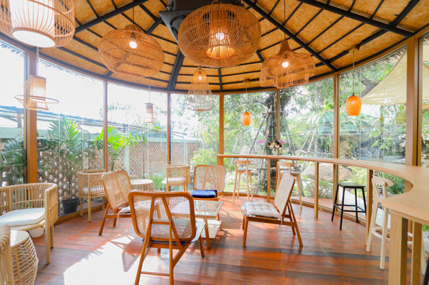 Smitten Cafe and Decor, Thong Ampai Café, THREE Cafe, Continue.cafe, Sunday in 345 cafe, Aprilhouse, The Aileen Cafe', Oliva Cafe, The Kottage Cafe, Plant Cafe, ปิ่นโตนามีตาล, Baan Kanom De'Pathum, Pumpkin Art Town, Mushroom Hut Cafe, KAD Cafe - กาด คาเฟ่, ADAM cafe