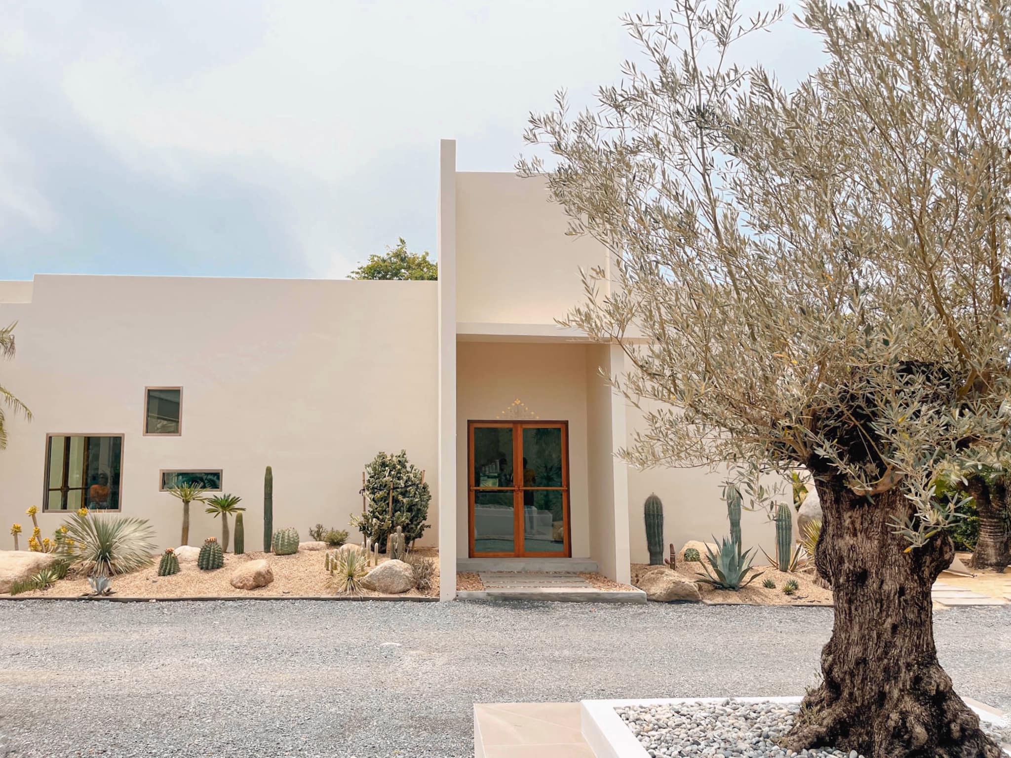 Smitten Cafe and Decor, Thong Ampai Café, THREE Cafe, Continue.cafe, Sunday in 345 cafe, Aprilhouse, The Aileen Cafe', Oliva Cafe, The Kottage Cafe, Plant Cafe, ปิ่นโตนามีตาล, Baan Kanom De'Pathum, Pumpkin Art Town, Mushroom Hut Cafe, KAD Cafe - กาด คาเฟ่, ADAM cafe