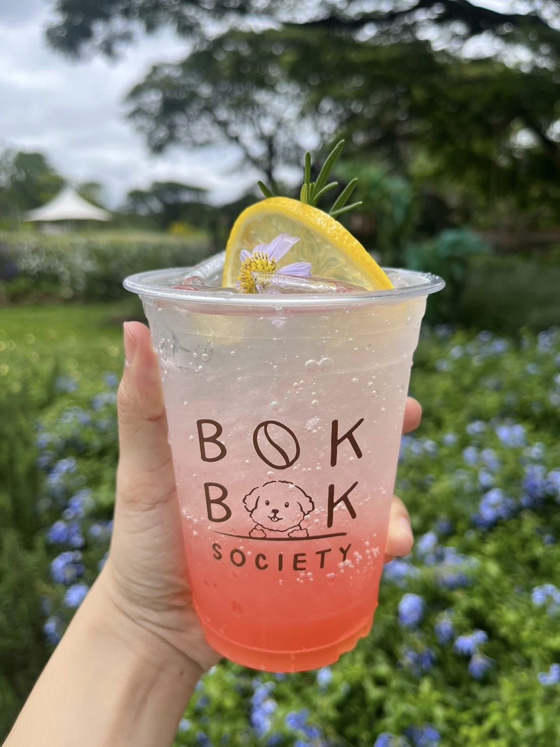 Bok Bok Society, 88Coffee in khaoyai, The Creek @Khao Yai, TARA CAFE' Khaoyai, Pirom Cafe