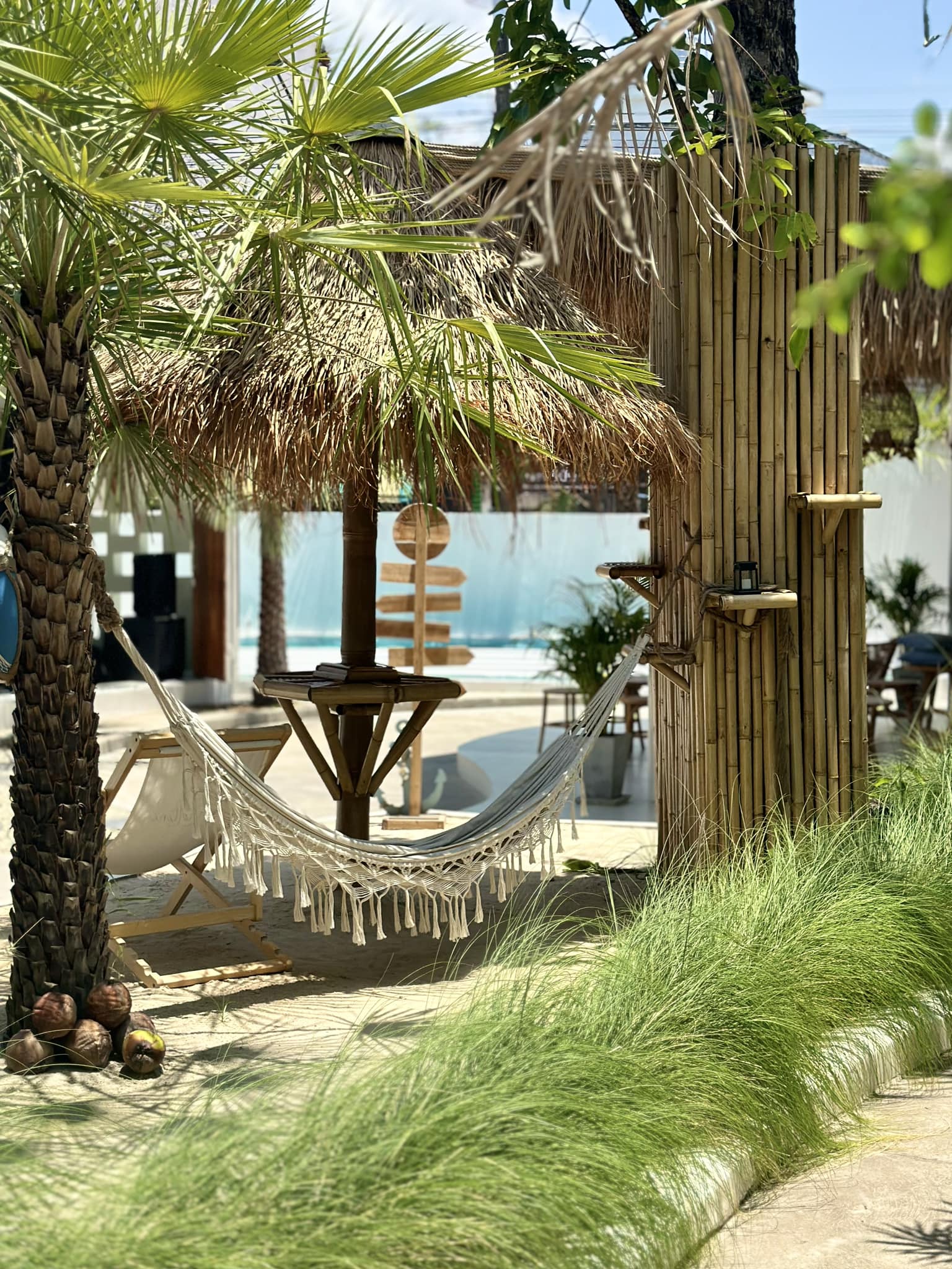 TreeHouse Cafe, Sunshine Blend Home Cafe, Sandtoni, The Stand Brew•Bake , Virung Coffee &amp; Bar, ตากอากาศ, โกงกางคาเฟ่, Studio 55 Cafe