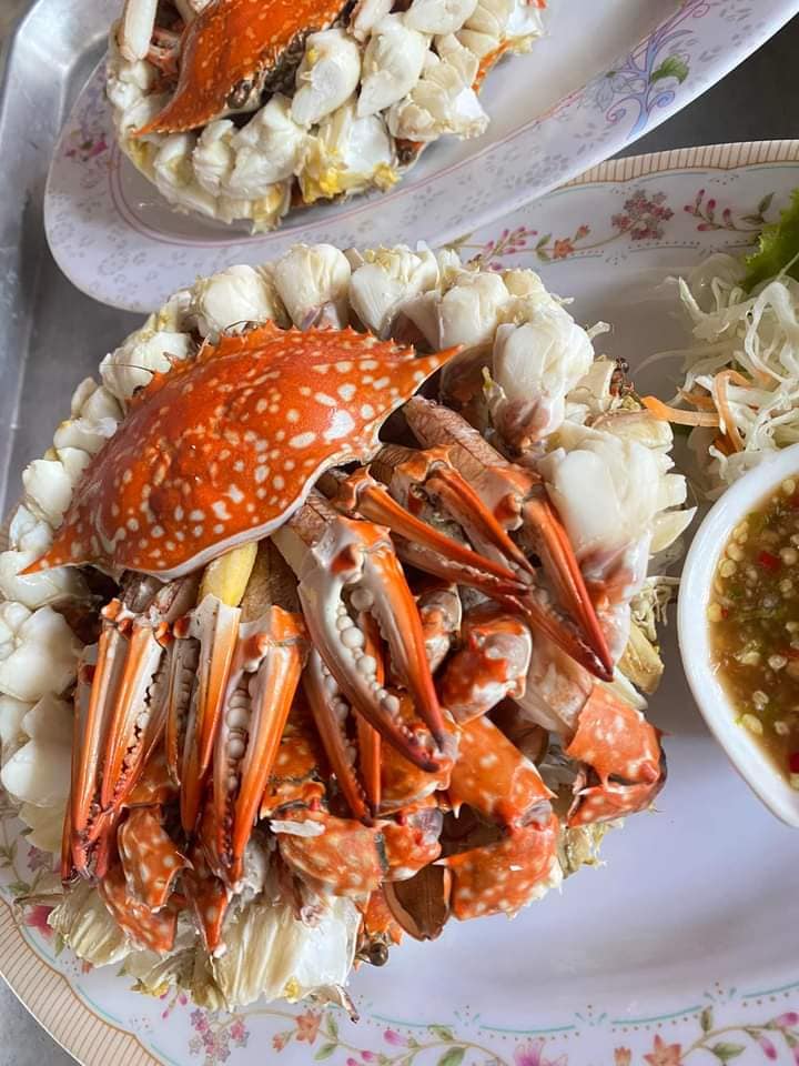 ครัวลุงมันซีฟู้ด, ตั้งฉ่ายซีฟู้ด, บ้านไร่น้ำอิง, พรทะเลซีฟู้ด, ศิริกัญญาซีฟู๊ด, ผึ้งทะเลเผา เบอร์ 9, ครัวป้ายืนซีฟู้ด, นู๋ยาซีฟู้ดชะอำ, ครัวเม็ดทราย, บ้านครัวทะเล, ครัวห้วยทราย, Platoo Restaurant, ครัวป้าเฉลียว, ร้านครัวพี่เปี๊ยก บางควาย