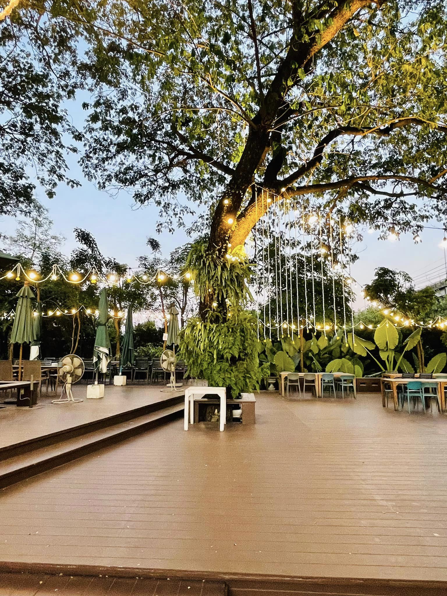 Nomimono Izakaya, กะทิบ้านอาหารไทยและขนม, ก๋วยเตี๋ยวเรือนแพ, Sasi Bangkok, Blooming Cafe, 128 Craft &amp; Soul, อิ่มใจ เสือร้อง, Cafe Casta, ต๋องริมทาง, Wife's Restaurant, บ้านสวนองุ่น, เฮือนลำพูน, COAL Bistro, SUNKISS.bangkok, ร้านดวงเดือนจิ้มจุ่มอาหารอีสาน, ก๋วยเตี๋ยวไม่มีชื่อ ตลิ่งชัน