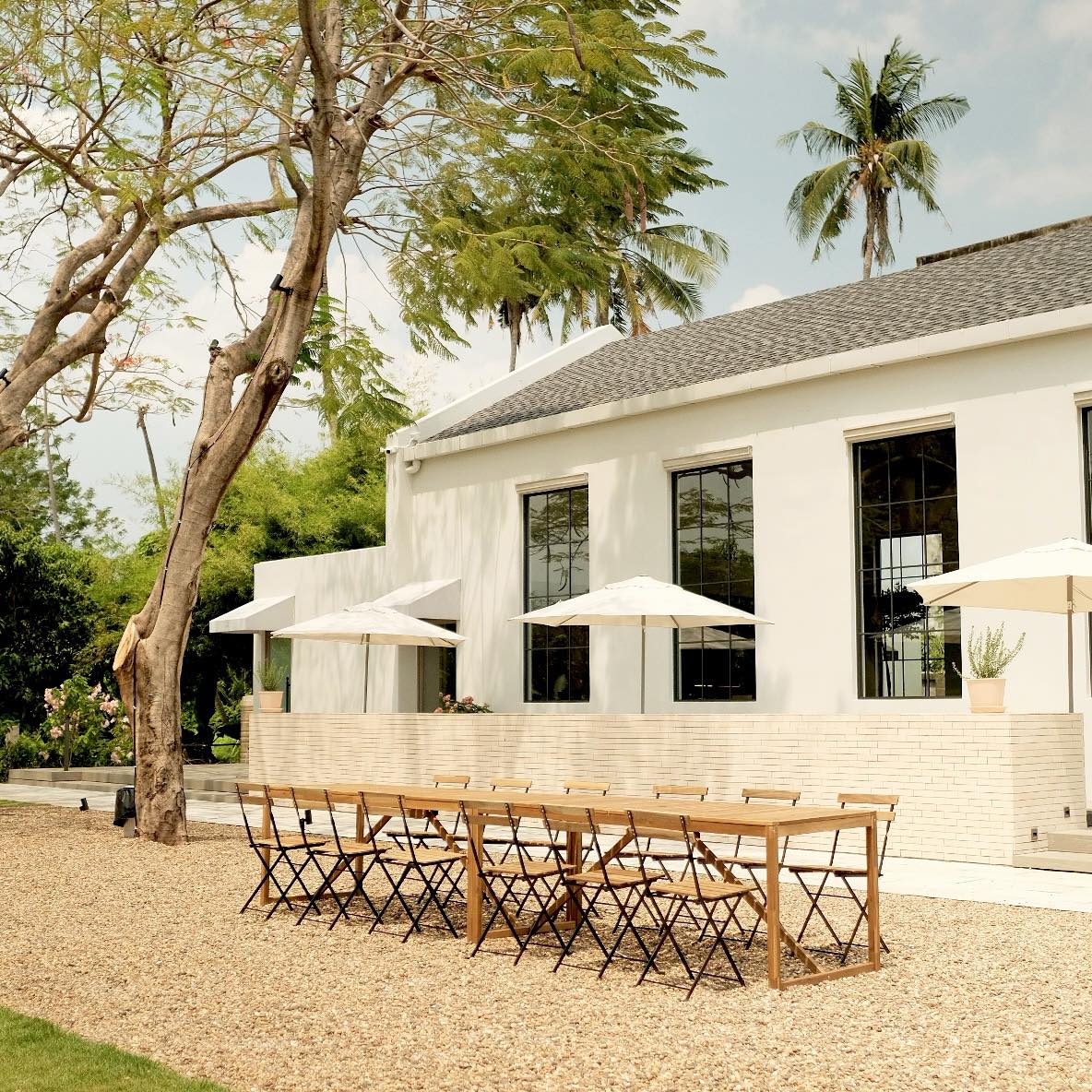 Nomimono Izakaya, กะทิบ้านอาหารไทยและขนม, ก๋วยเตี๋ยวเรือนแพ, Sasi Bangkok, Blooming Cafe, 128 Craft &amp; Soul, อิ่มใจ เสือร้อง, Cafe Casta, ต๋องริมทาง, Wife's Restaurant, บ้านสวนองุ่น, เฮือนลำพูน, COAL Bistro, SUNKISS.bangkok, ร้านดวงเดือนจิ้มจุ่มอาหารอีสาน, ก๋วยเตี๋ยวไม่มีชื่อ ตลิ่งชัน