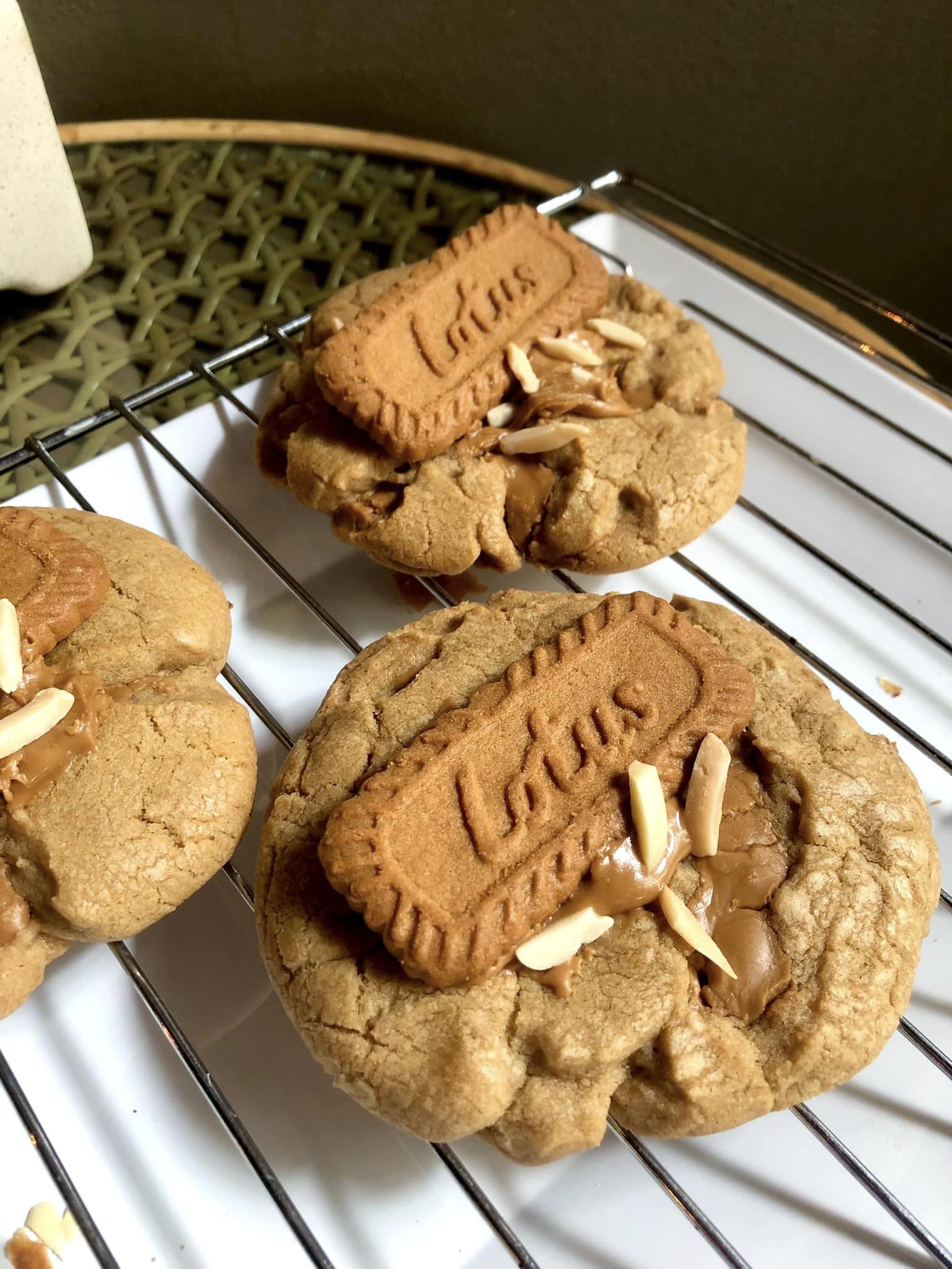 NAYA Cafe, Krasai.cafe, Sanoh at Ayutthaya, ชีวาคาเฟ่, FENG, Tewa Cafe Ayutthaya, Homeboy, PRANG VIEW, Peko Peko Cafe - ペ コ ペ コ, A Lovely Table, Busaba Cafe &amp; Meal, WIWA House Cafe', The Summer House, Phoyard, Cafe' de Zia, Café Kantary Ayutthaya, บ้านข้าวหนม, Basic Space Coffee, Cafe'Trifecta, ในคลองคาเฟ่, ไม้ขาวคาเฟ่ ayutthaya, ชงนวล'Cafe