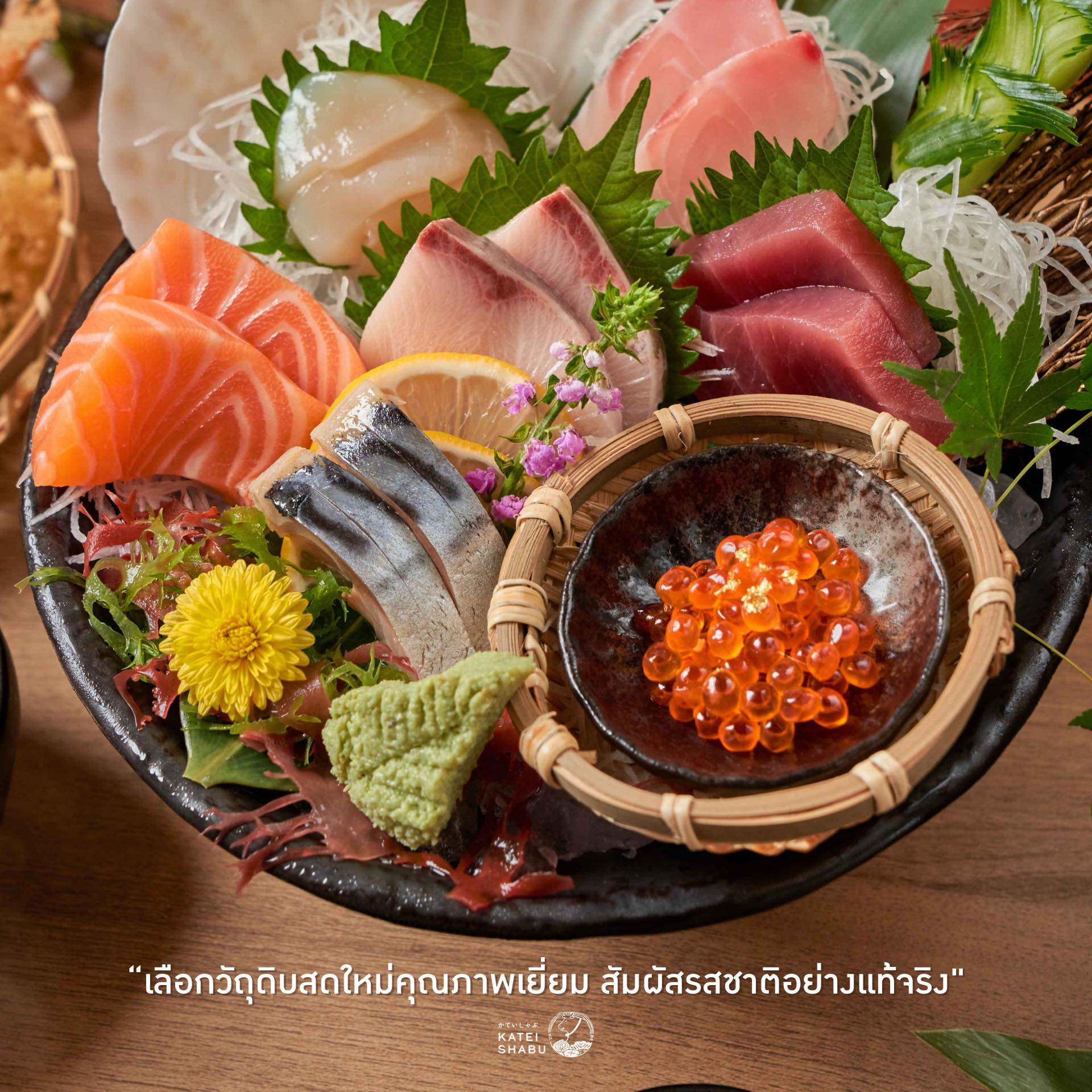 Shabu Tomo, Shiroku Shabu, Peak Shabu, FUFU SHABU, สาขา Empire Tower, KATEI SHABU, Izakaya En, Shuu Shabu, สาขา เดอะพรอมานาด รามอินทรา, Treasure Beef Shabu, Hai Shabu