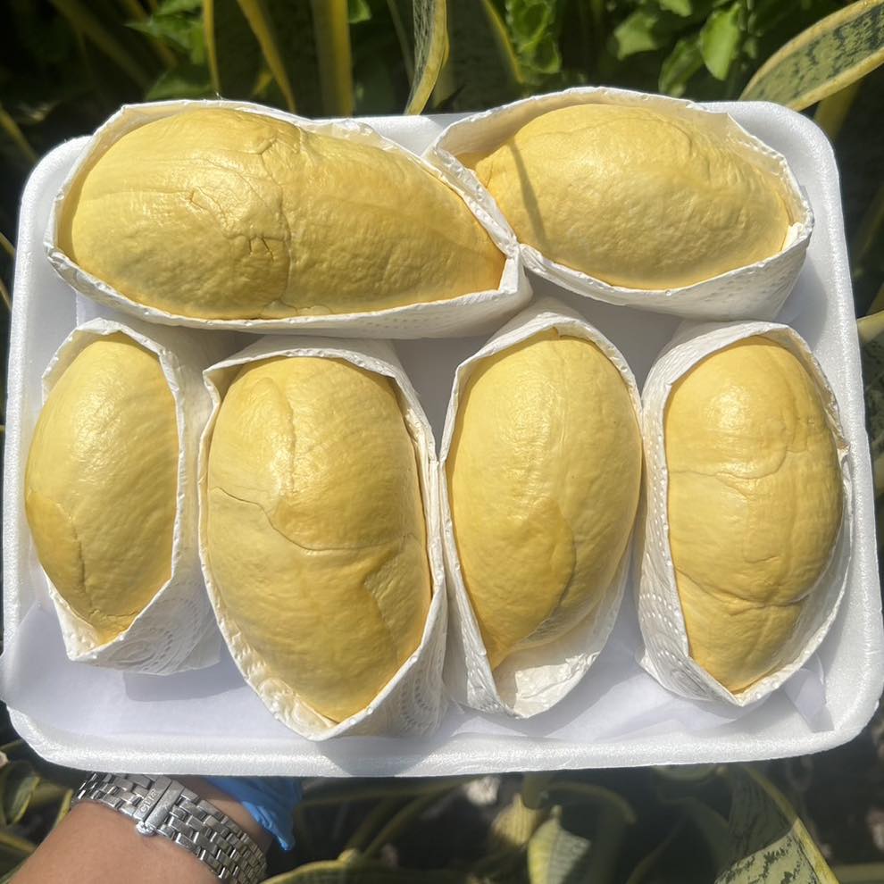 ทุเรียนหมอนทองจันทบุรี, Fresh Mate, ทุเรียนหมอนทองตลอดปี, ทุเรียนเฮียถุง Delivery, ทุเรียนน้องนิด, เจ้แหม่ม ผลไม้ &amp; ทุเรียน, aDay Fresh, Mr.Fruity ทุเรียนสด Delivery, ทุเรียนเจ๊ฟีม ตลาดสี่มุมเมือง, Siam Golden Fruit, ทุเรียน Delivery ส่งด่วนใน1ชั่วโมง