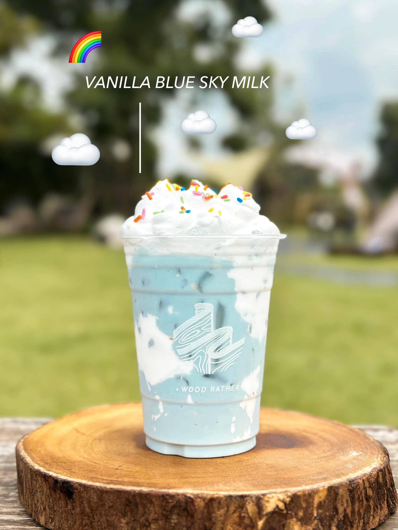 sisterhood.cafe, Dripster HOUSE café, Wood Rather, Sanyongcafe, คลองอ้อมคาเฟ่