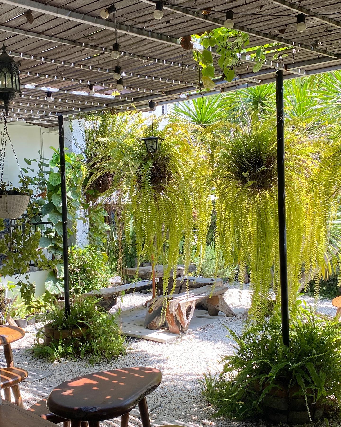 Loft Stilo - Erawan, I-Suan Home Cafe, Glamper Coffee and Bar, So story at Kingkaew, Leader Vintage And Cafe', Kratomcafebanghia, Belief_home, Them.x, Shalala Cafe, Buna Organic Coffee, Lasunya Kafe, Chivit Issara ชีวิตอิสระ, Ginggarn Farm Cafe, กิ่งกาณ ฟาร์ม คาเฟ่, Underthetree, Bougain Cafe &amp; Crafts, Coffee i need u, Bike Terminal &amp; Cafe', GOAT 91 CAFE, REIKOO Coffee