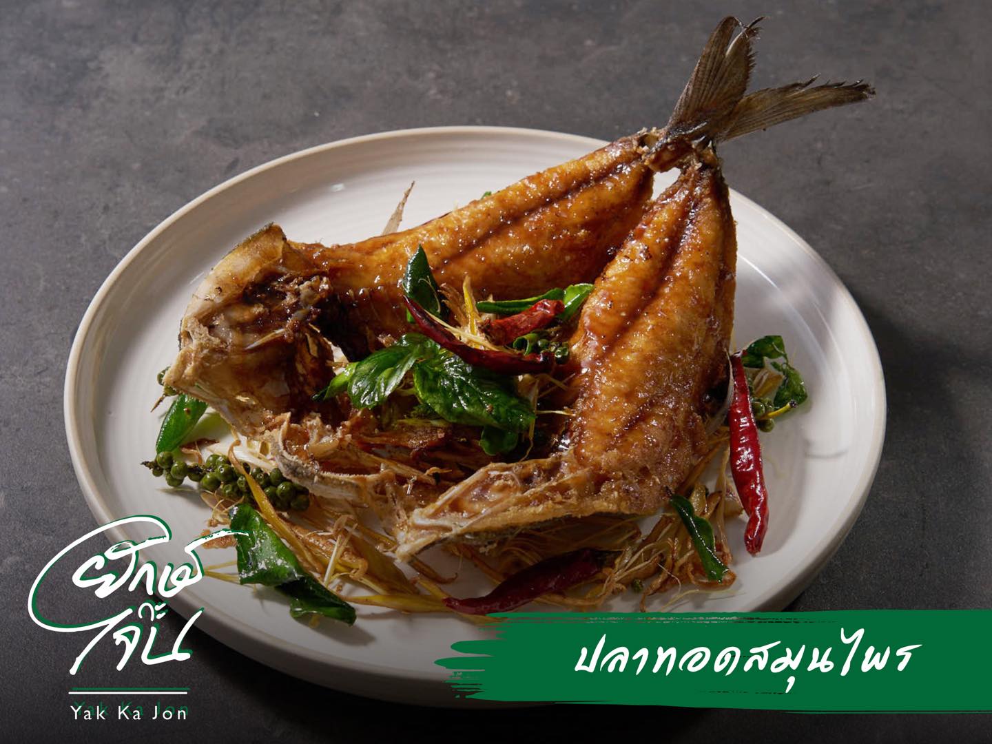 หมีไรกิน Buffet ปูไข่ดอง กุ้งดอง ไม่อั้น, Taste and Toast, พิศมัย PizzaMai, Mint Homebaking, ยักษ์กะโจน, See 180, Chef's gallery, Crepecafe