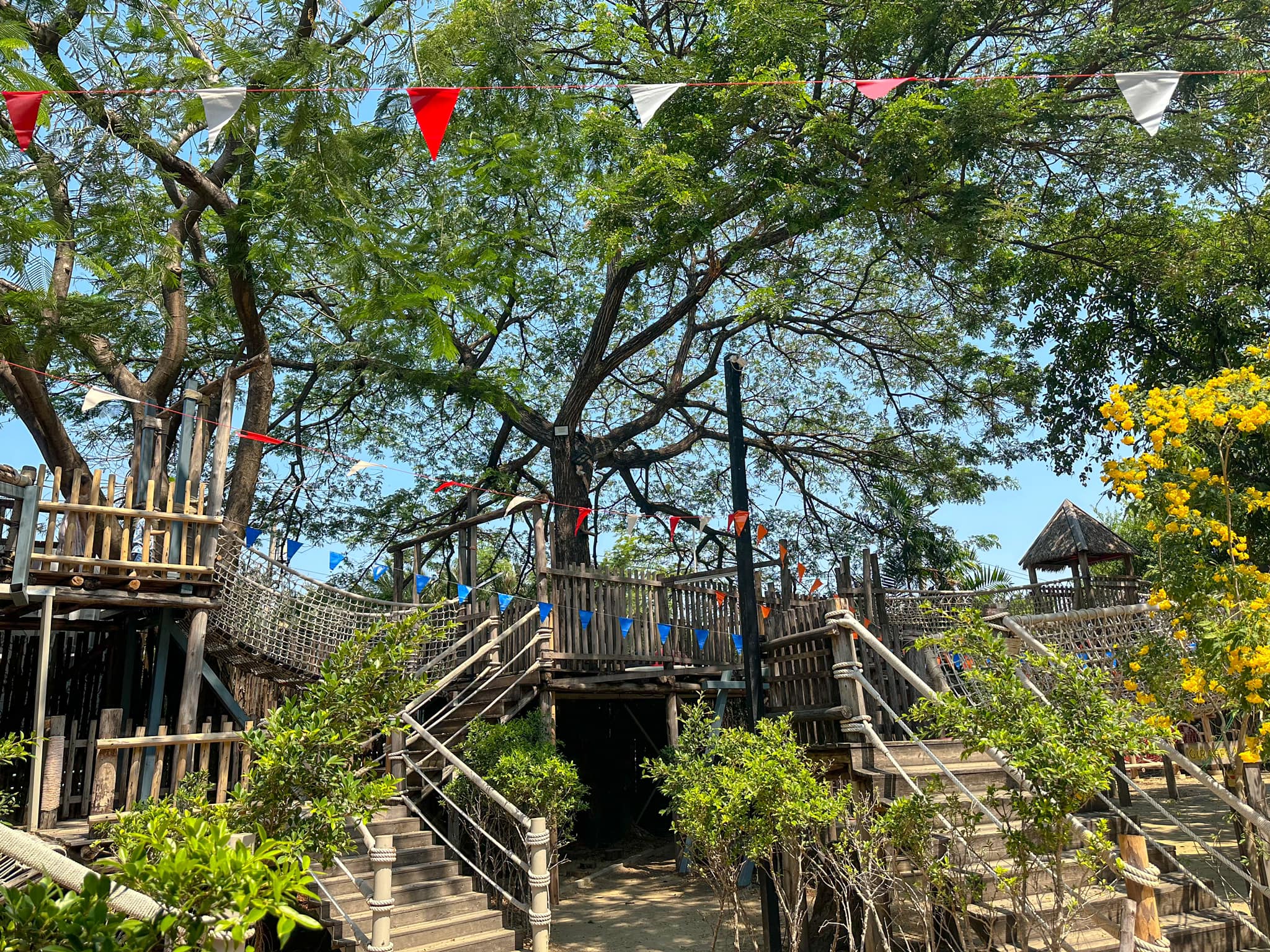 Kiddies’ House, ม้าก้านกล้วย คิดส์คาเฟ่, Little sheep kids cafe, Kickinkids, Moana Cafe, Organika Cafe and Play, Little Barn Kids Cafe, Pumpkin Art Town, DUBUA CAFE, FARM LUCK, Dressage Horse Café, Buttercup, Mari go round