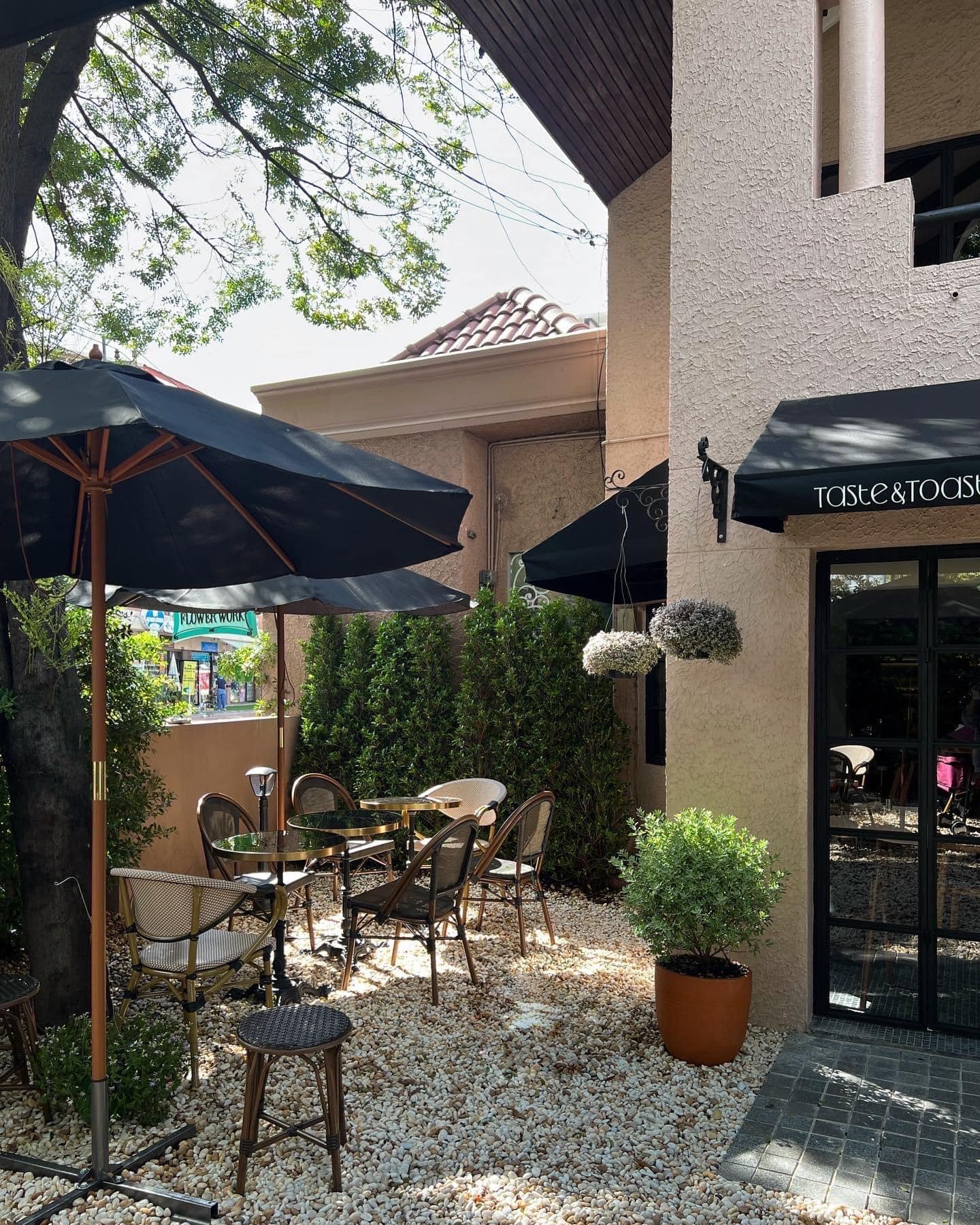 หมีไรกิน Buffet ปูไข่ดอง กุ้งดอง ไม่อั้น, Taste and Toast, พิศมัย PizzaMai, Mint Homebaking, ยักษ์กะโจน, See 180, Chef's gallery, Crepecafe