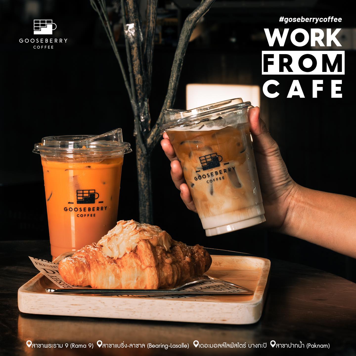 NANA Coffee Roasters, Mmc.bkk, FO SHO BRO, Dear December Cafe, The 66 Cottage, The Black Forest, Bougain Cafe &amp; Crafts, La Mesa Coffee Co., Coffee Station, Gooseberry Coffee Bearing-Lasalle, OOOz.cafe , Shalala Cafe