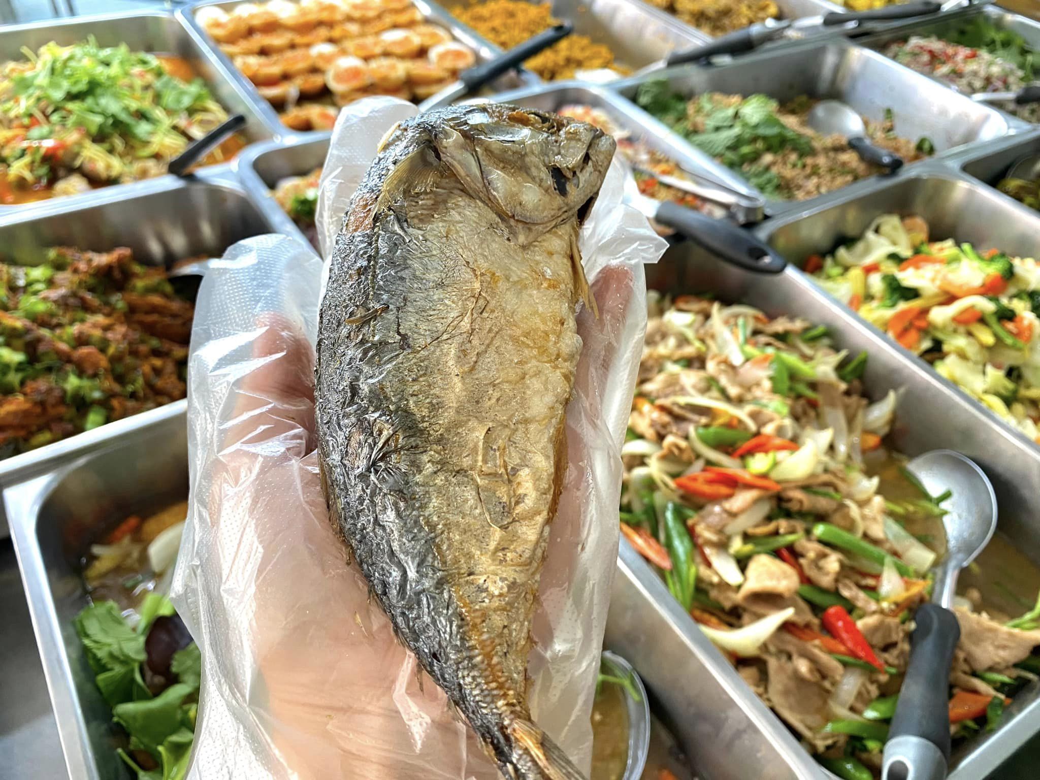 ร้านน้องเจเจ อาหารไทยพื้นบ้าน ซ.หัวหิน43-45, ร้านลุงบังหัวปลาหม้อไฟ หัวหิน, ร้านบ้านครูส่วน by ปลา, Tanya's, ร้านเกี๊ยวปลานำชัย, เจ๊กเปี๊ยะ, ครัวแม่ฬา, บ้านอิสระ, พาสใต้ บาย เชฟเต้หัวหิน Pastay by cheftae, ครัวเจ๊เนี้ยวหัวหิน51, โกหมาก หัวหิน, ซาลาเปาเตาถ่าน BY ยายม่วย, ร้านขนมไทยแม่เก็บหัวหิน, ครัวแม่กะเมย