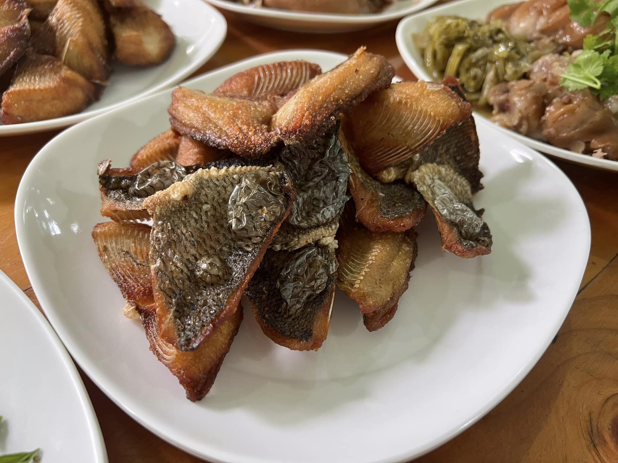 ร้านน้องเจเจ อาหารไทยพื้นบ้าน ซ.หัวหิน43-45, ร้านลุงบังหัวปลาหม้อไฟ หัวหิน, ร้านบ้านครูส่วน by ปลา, Tanya's, ร้านเกี๊ยวปลานำชัย, เจ๊กเปี๊ยะ, ครัวแม่ฬา, บ้านอิสระ, พาสใต้ บาย เชฟเต้หัวหิน Pastay by cheftae, ครัวเจ๊เนี้ยวหัวหิน51, โกหมาก หัวหิน, ซาลาเปาเตาถ่าน BY ยายม่วย, ร้านขนมไทยแม่เก็บหัวหิน, ครัวแม่กะเมย