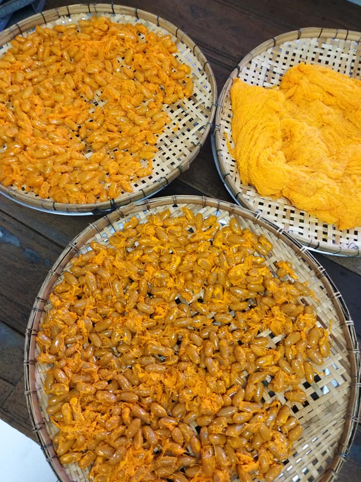 ร้านน้องเจเจ อาหารไทยพื้นบ้าน ซ.หัวหิน43-45, ร้านลุงบังหัวปลาหม้อไฟ หัวหิน, ร้านบ้านครูส่วน by ปลา, Tanya's, ร้านเกี๊ยวปลานำชัย, เจ๊กเปี๊ยะ, ครัวแม่ฬา, บ้านอิสระ, พาสใต้ บาย เชฟเต้หัวหิน Pastay by cheftae, ครัวเจ๊เนี้ยวหัวหิน51, โกหมาก หัวหิน, ซาลาเปาเตาถ่าน BY ยายม่วย, ร้านขนมไทยแม่เก็บหัวหิน, ครัวแม่กะเมย