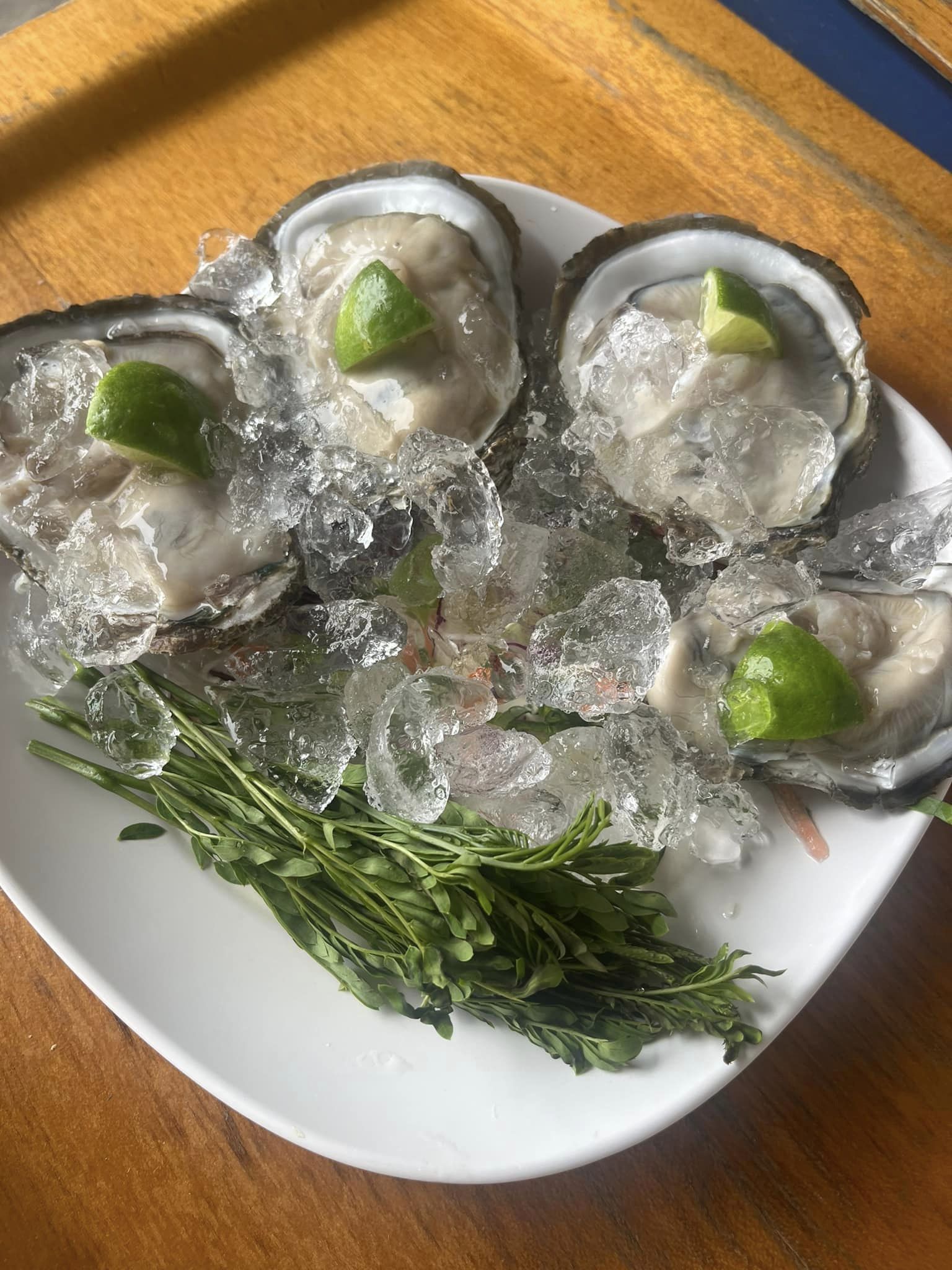 บ้านสวนลุงไข่, พี่เชษฐ์, Sawasdee-CuP Samui, ร้านอาหารข้าวหอม เกาะสมุย, ครัวชาวบ้าน, ท่าเรือสมุยซีฟู้ด, เสบียงเล, Mira Serene, โกเซ้ง เกาะสมุย, ครัวเสวยสมุย, The Roof Samui, มิสสมุย, Jam restaurant