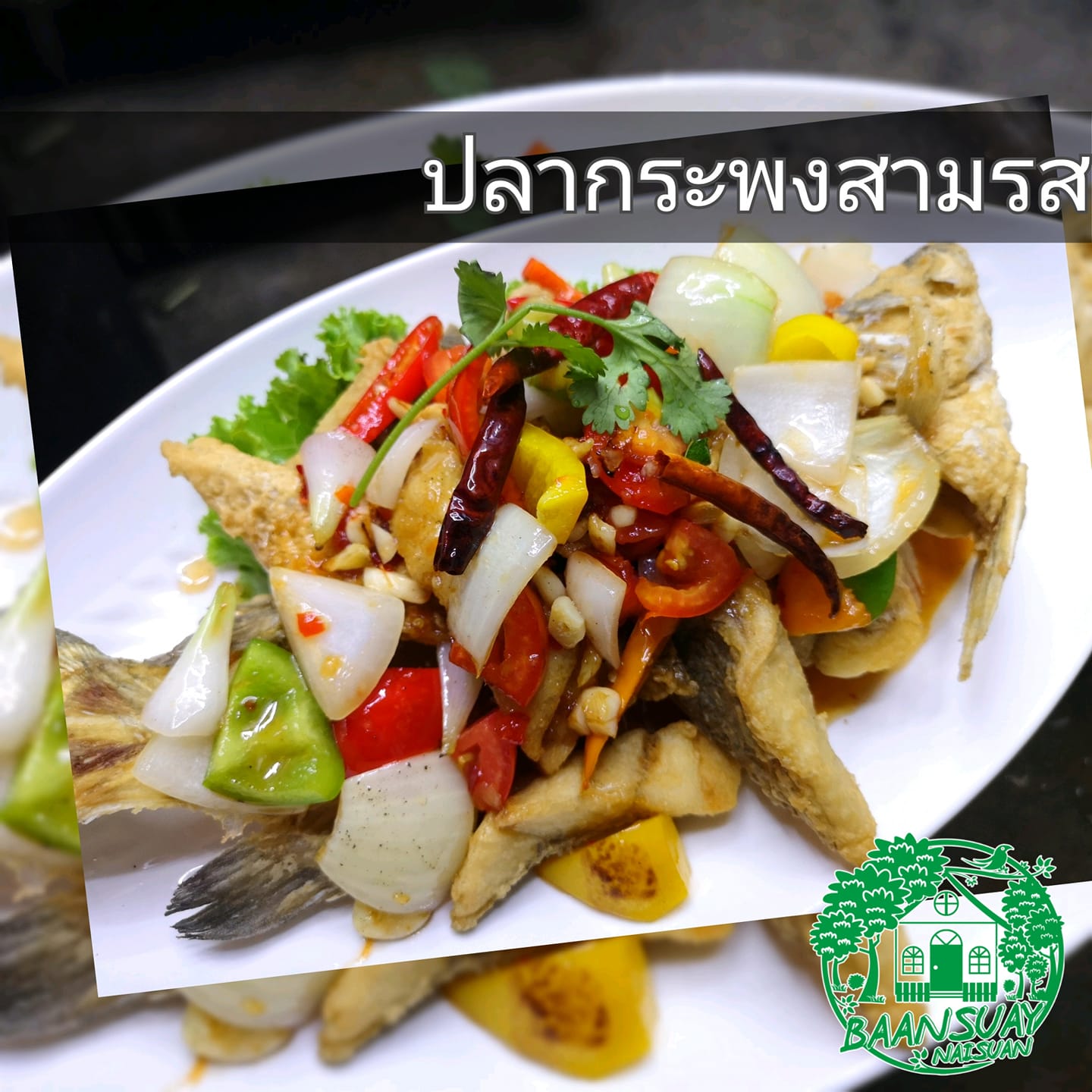 บ้านสวย ในสวน, Siam Brasserie , The Treehouse Nongchok, Natura Cafe, BaanNaiSuan Cafe&amp;Yoga, Patom, Portobello &amp; Désiré, ครัวบ้านสวนสุวรรณ, ร้านอาหารฐิตารีย์ สวนรถไฟ จตุจักร, บ้านสวน อบอวลรัก